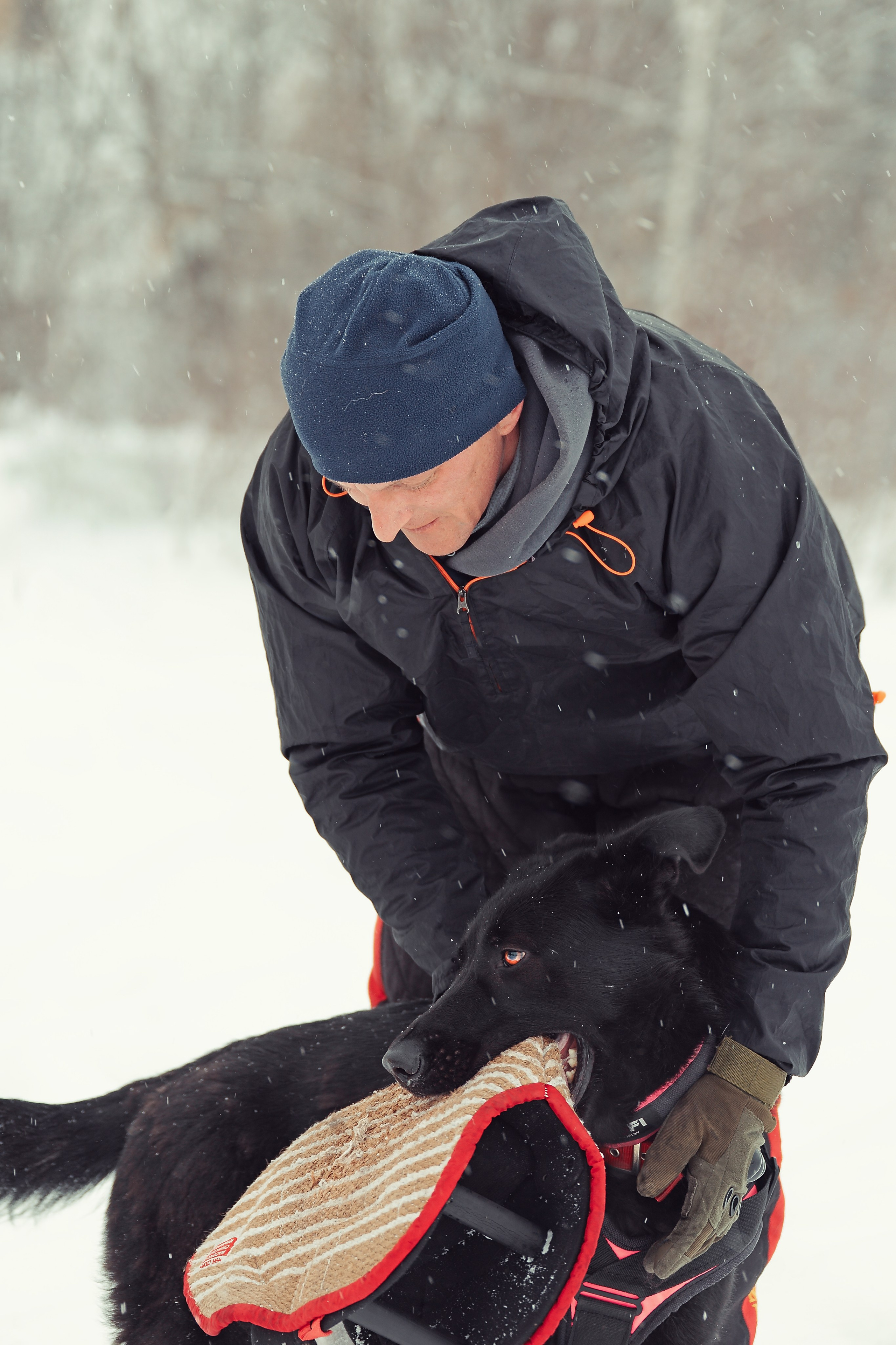 Репортажная съемка. Фотограф-анималист Нижний Новгород