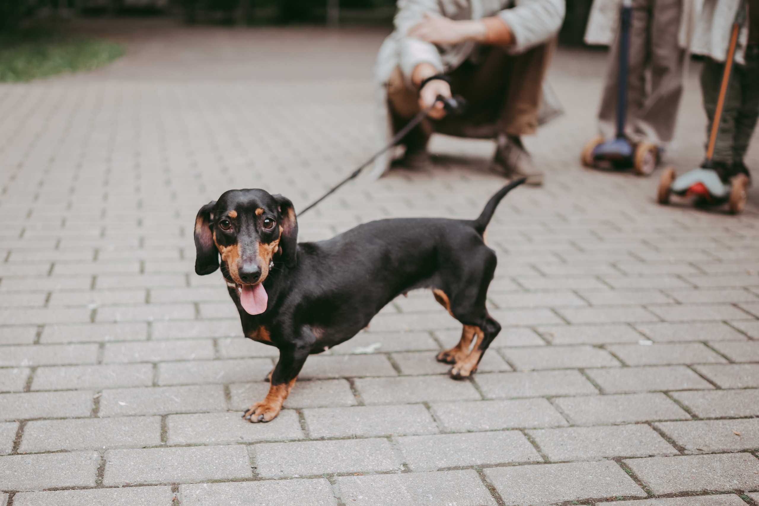 Прогулка в парке. Семейный фотограф в Москве и Подмосковье Иванова Нина