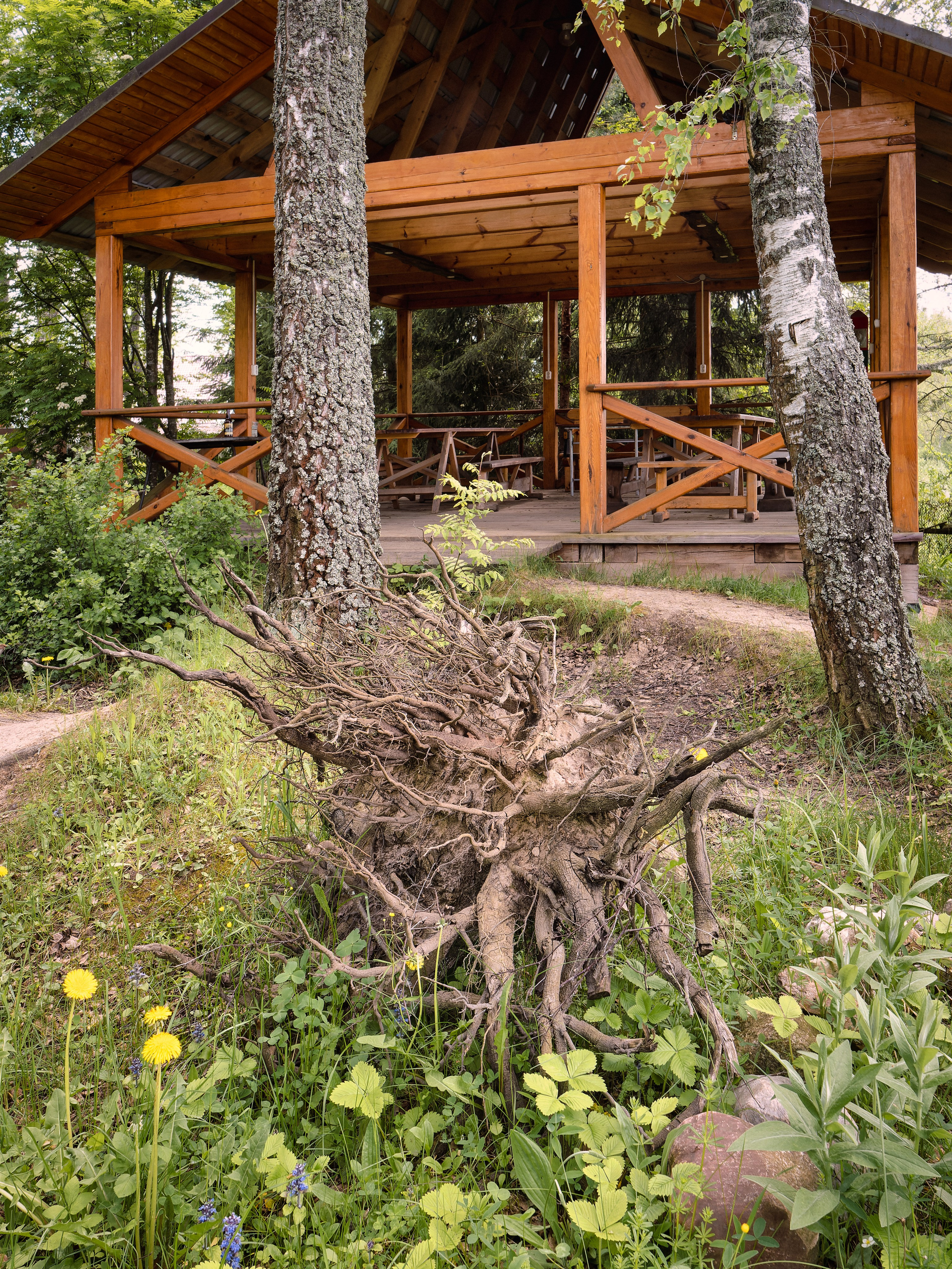 На берегу Угры. Конец мая 2024 года. Фотограф Никифоров-Гордеев Сергей. Москва и МО