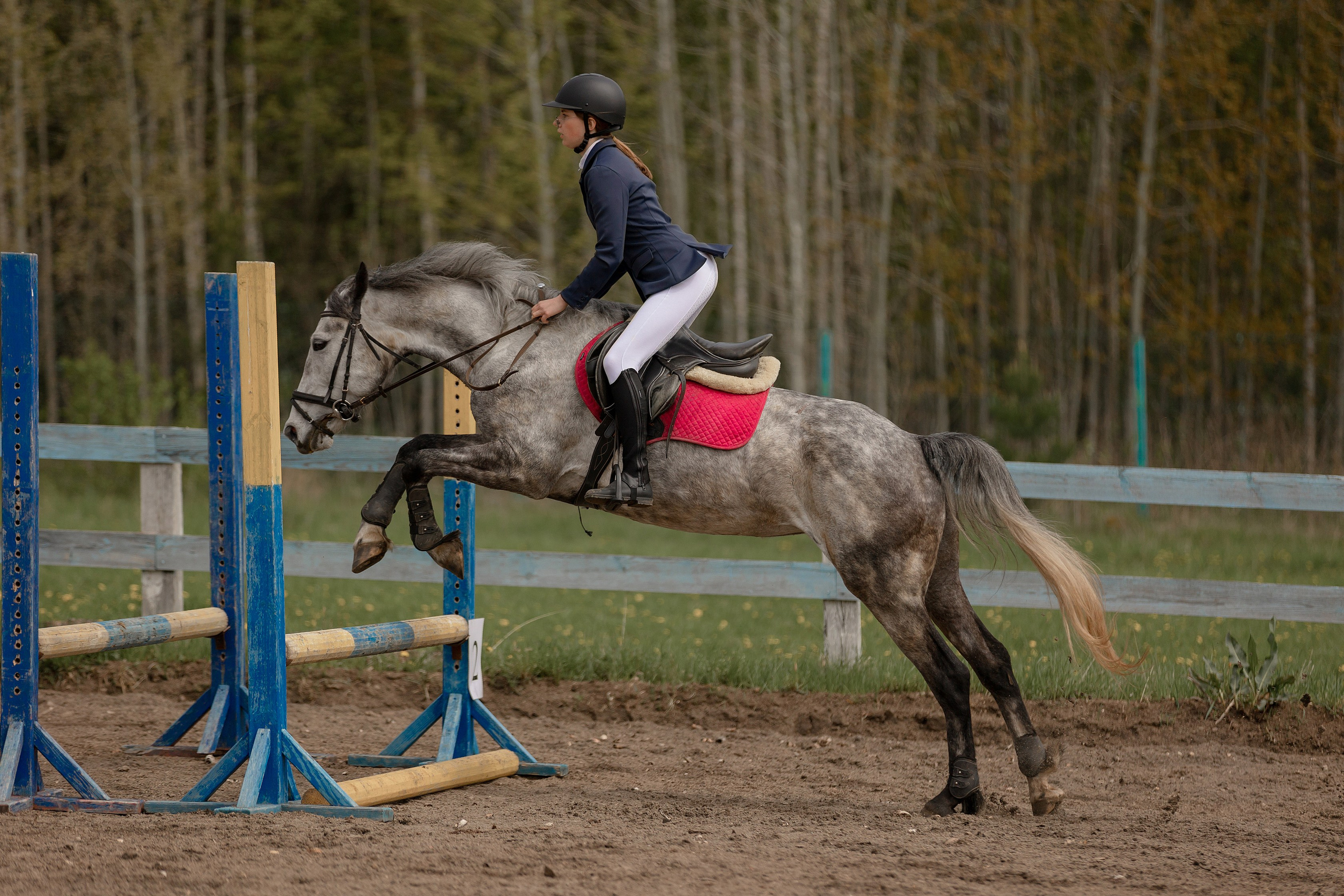 Соревнования по конному спорту. Конный фотограф Валынкина Лера