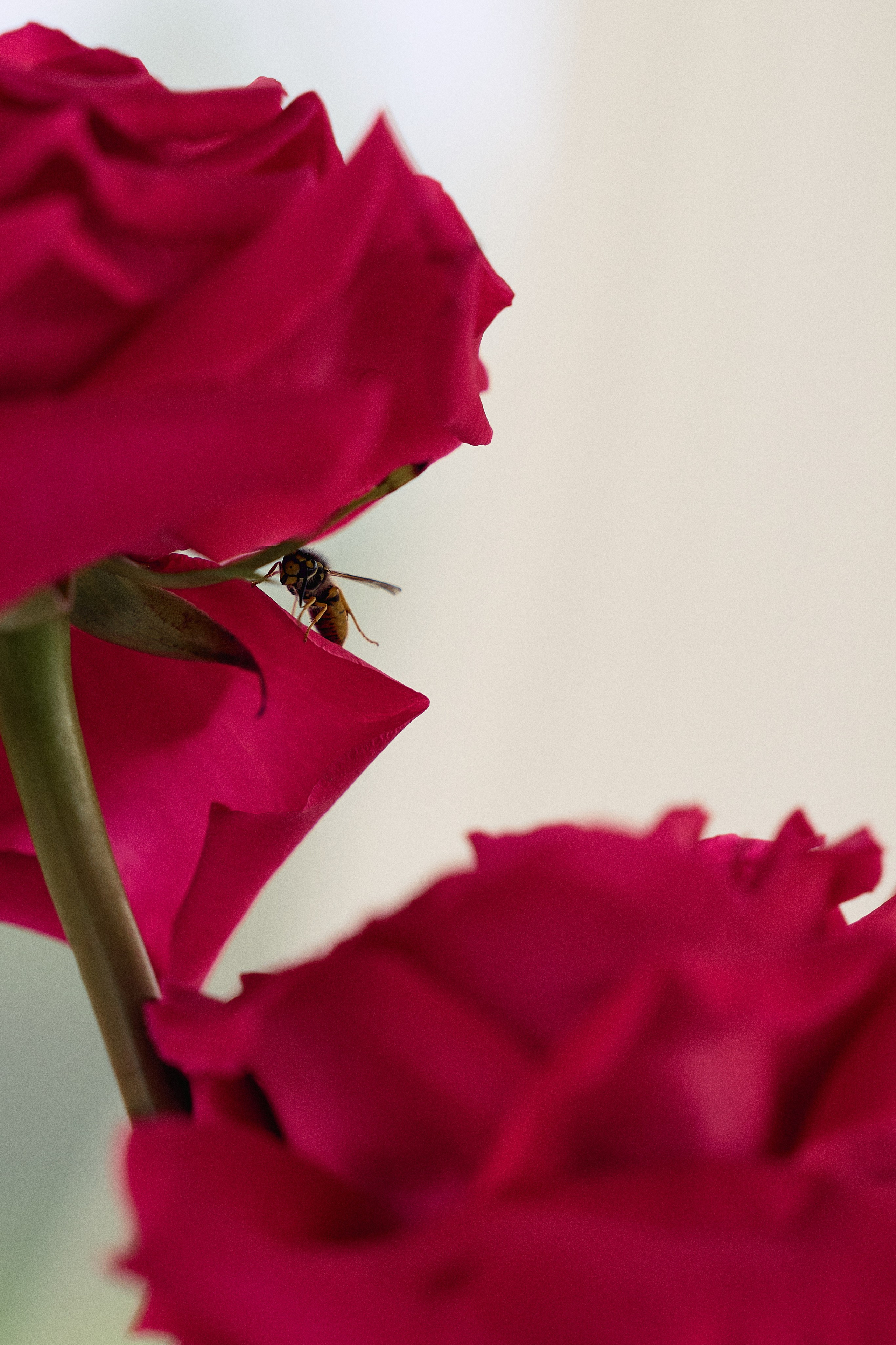 Дмитрий & Элина. Главная