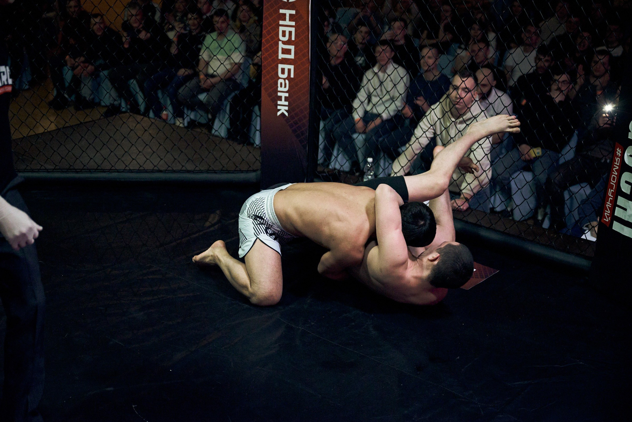 Бои. Маляревич Дмитрий свадебный фотограф