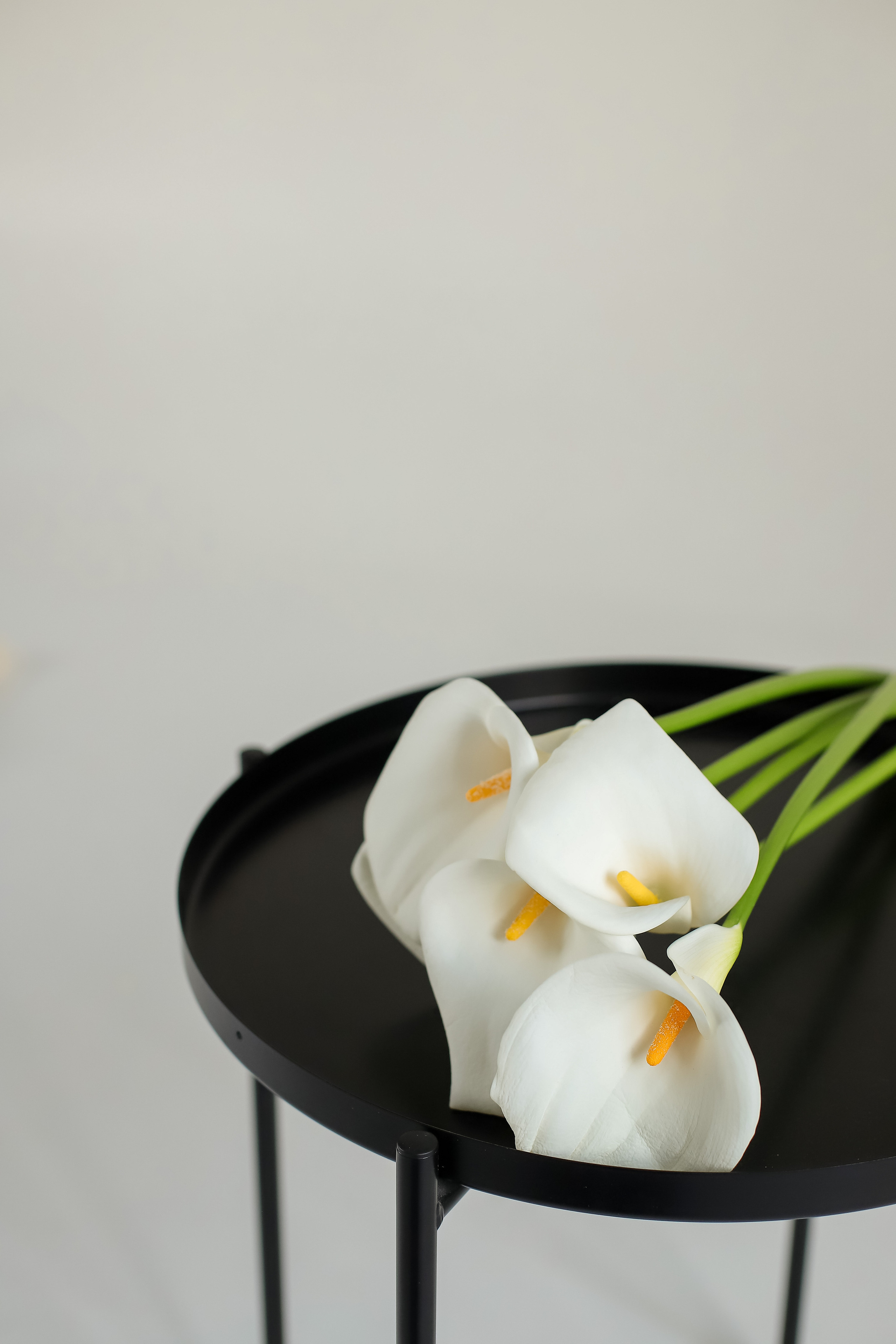 Контент съёмки. Фотограф в Анапе и Геленджике