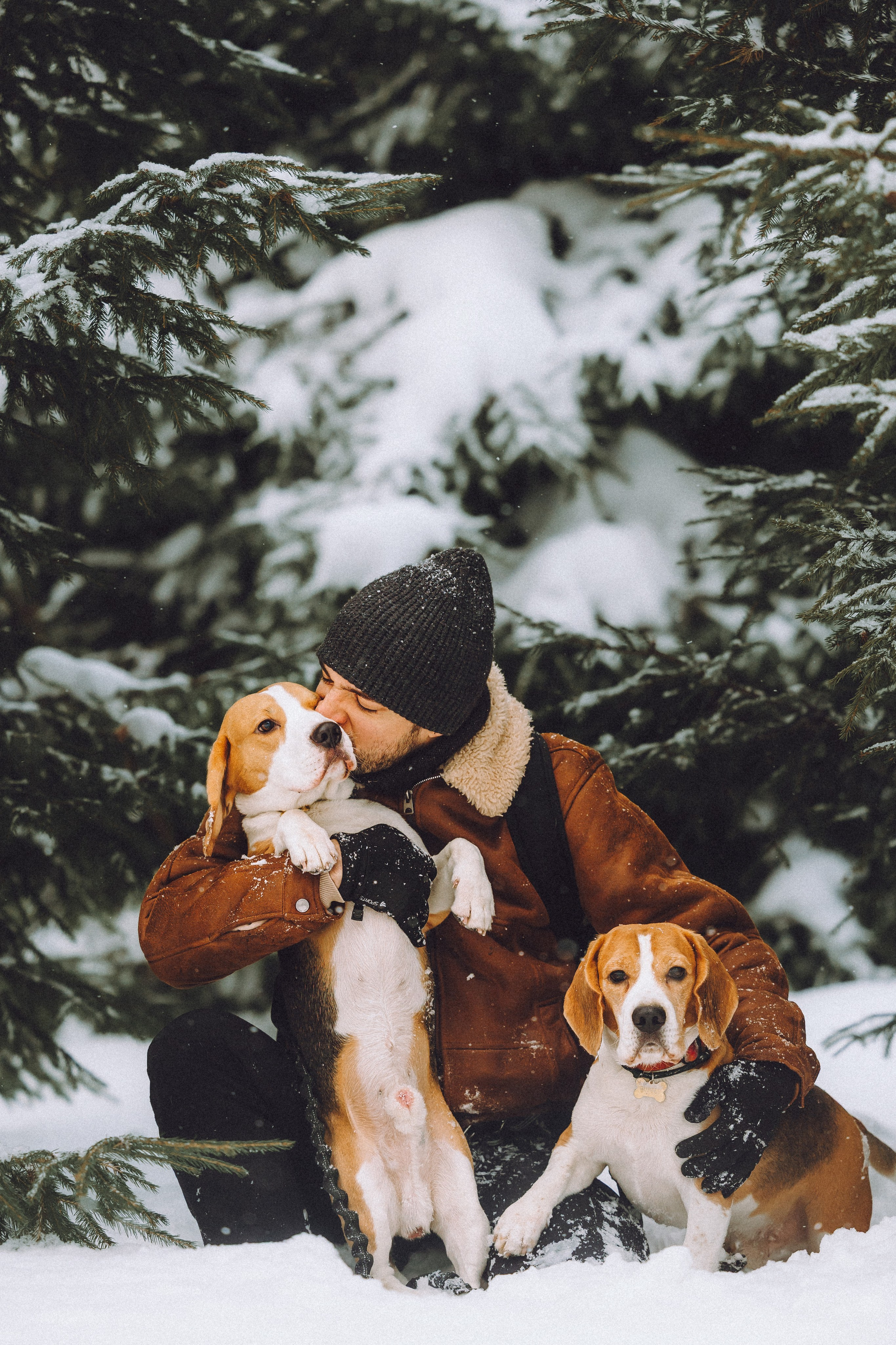 Роман, Портер и Коррес