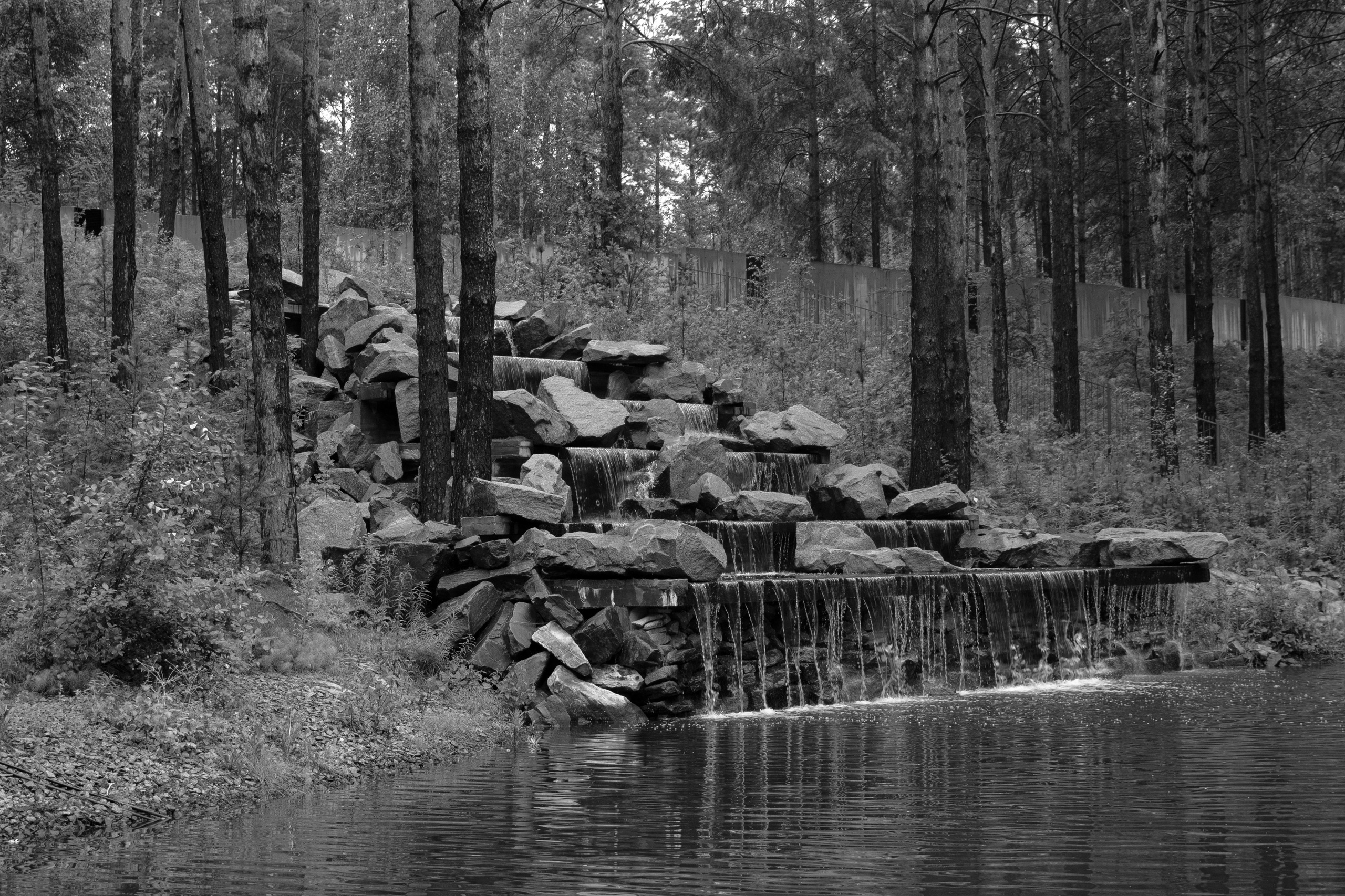 Виктория & Даниил. Свадебный и семейный фотограф Тюмень Екатеринбург Москвина Алёна