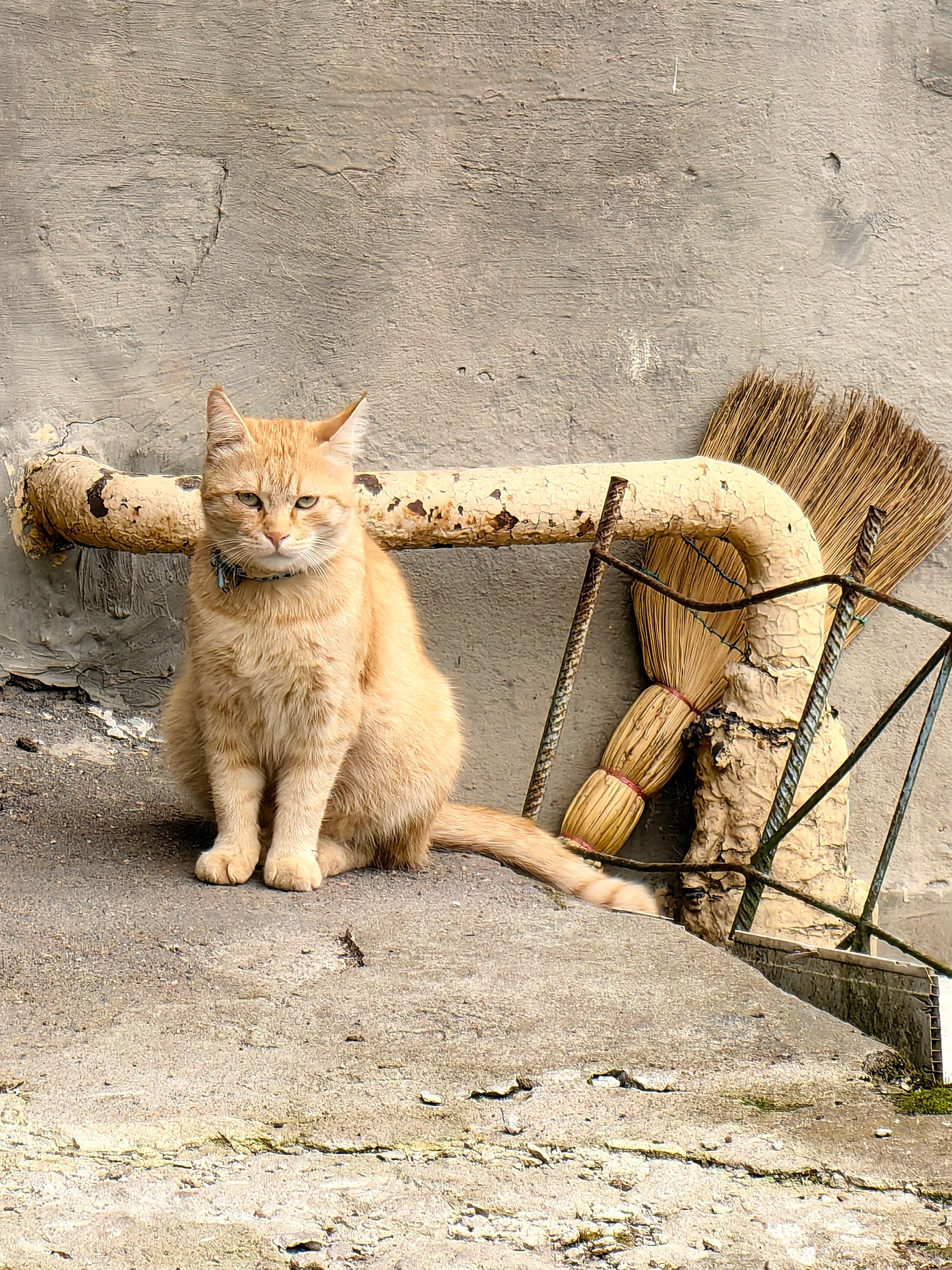 Уличная съемка. Фотограф и оператор Илья Гунбин