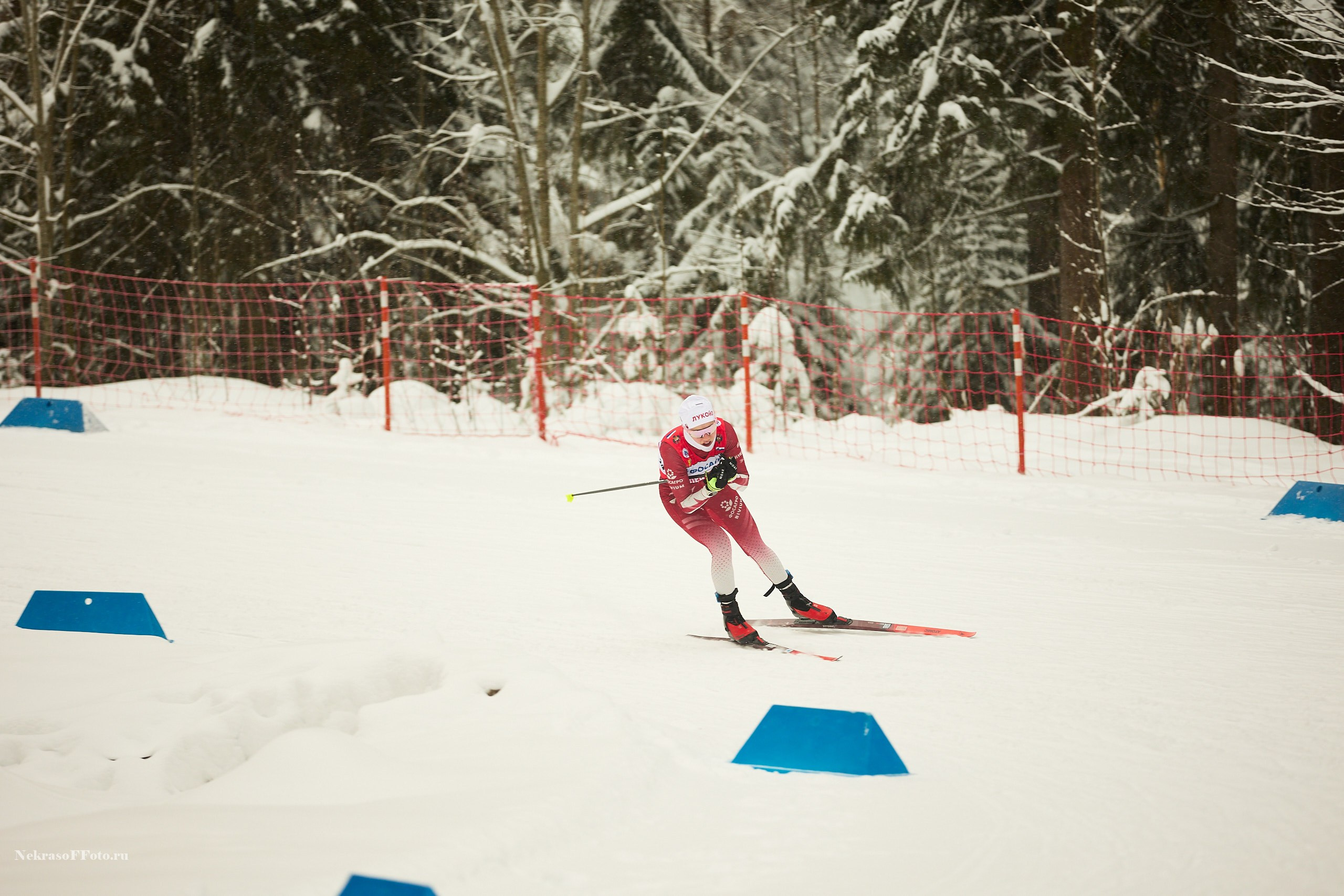 Кубок России по Лыжным гонкам. Спортивный фотограф Некрасов Денис