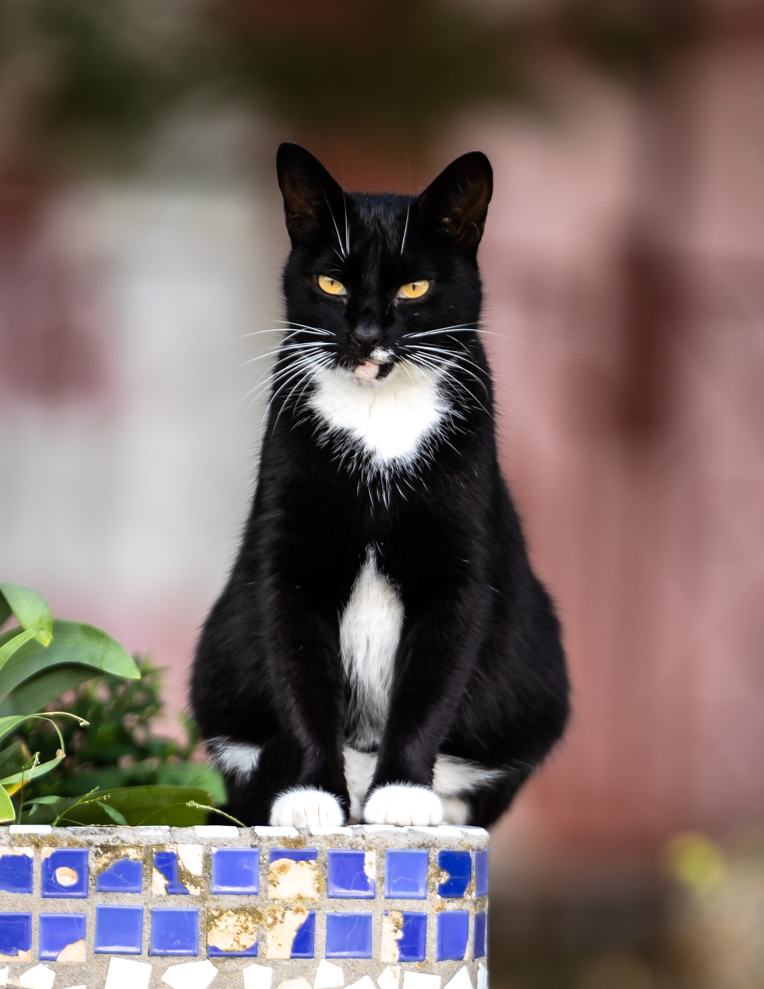 Анапа. Фотограф Владимир Охрименко