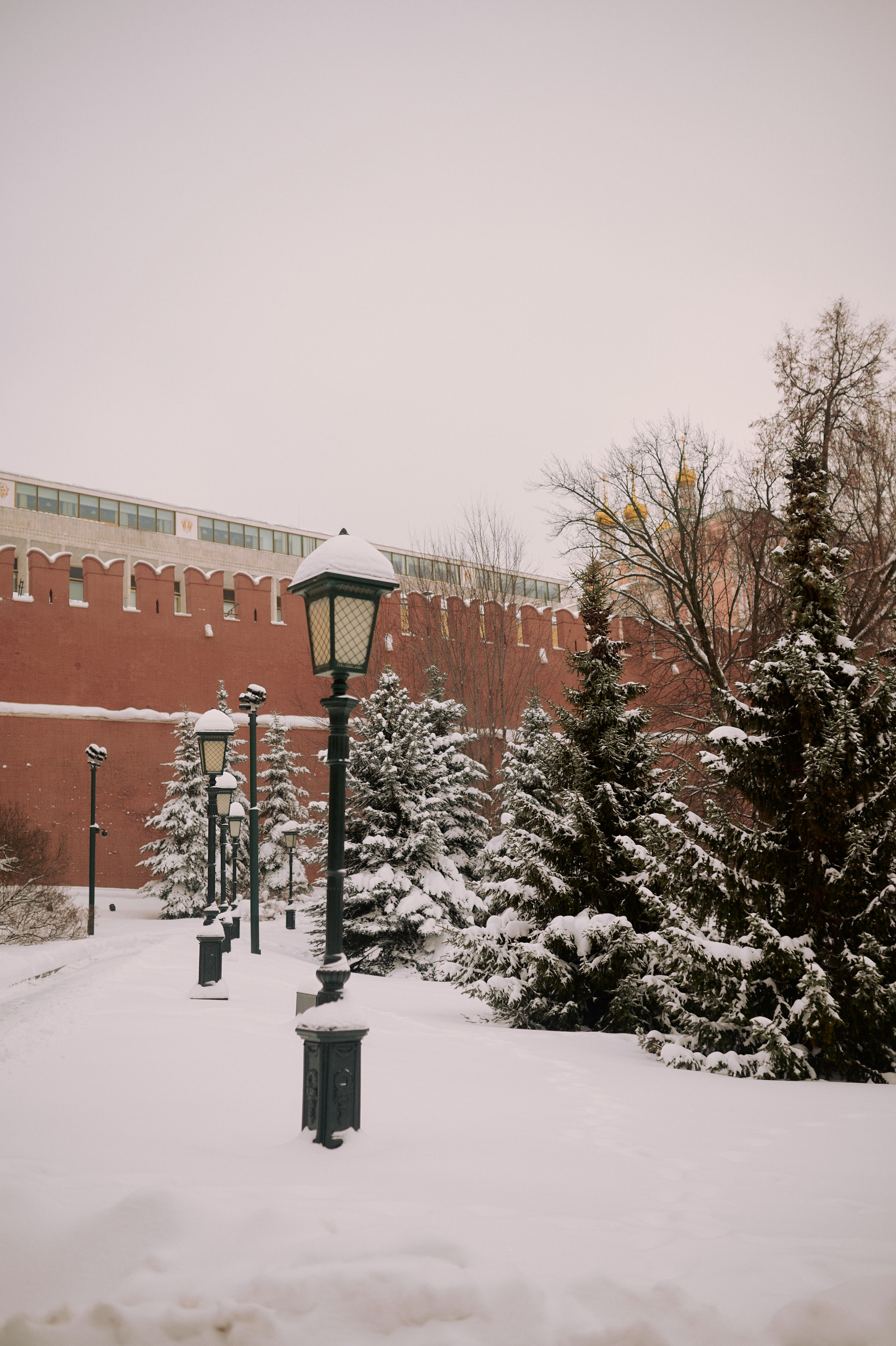 Шубх и Лиза. Семейный и свадебный lifestyle-фотограф в Москве Мария Петрова