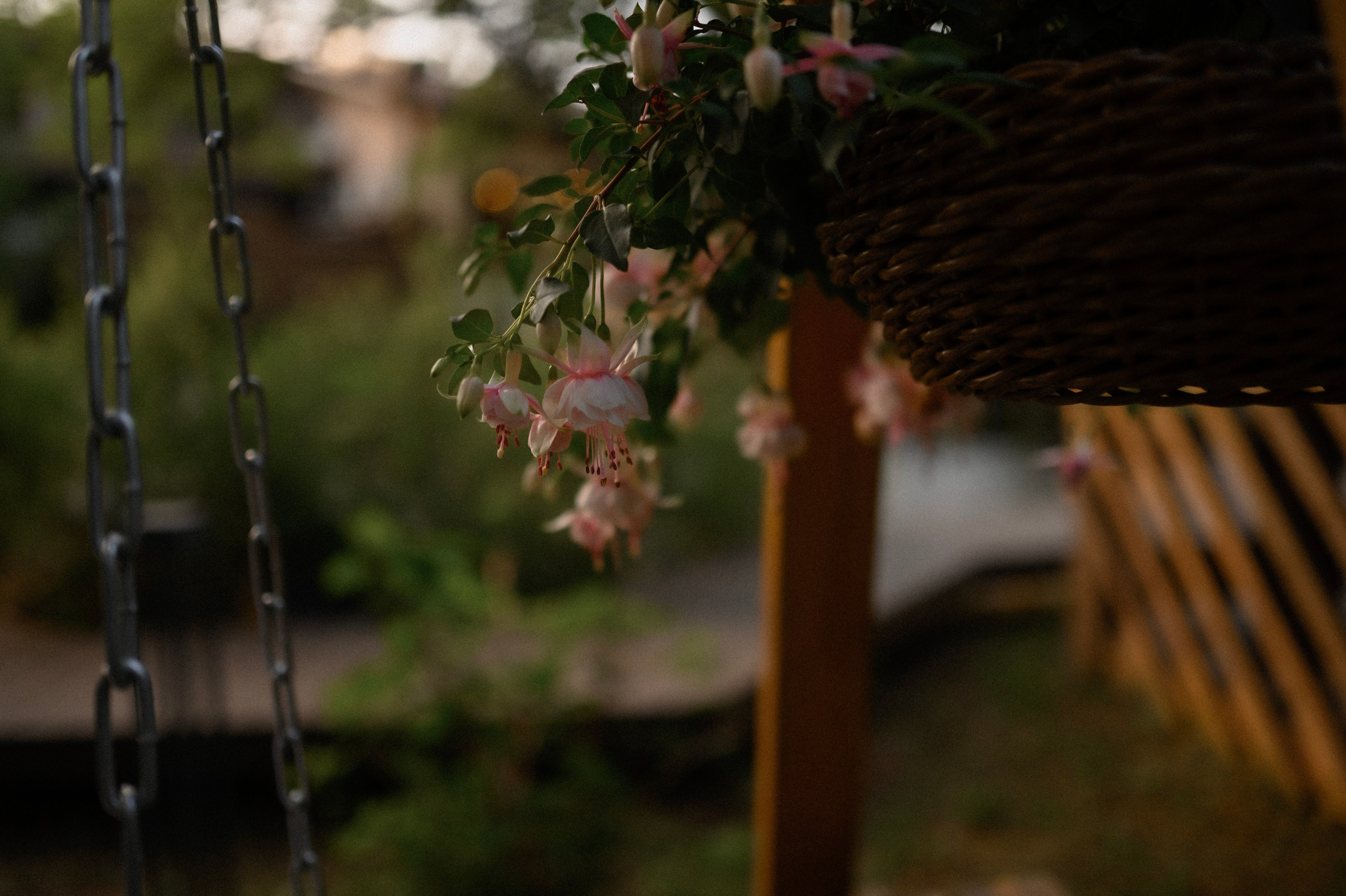 Надя и Алиса в ресторане Кедр. Семейный и свадебный lifestyle-фотограф в Москве Мария Петрова