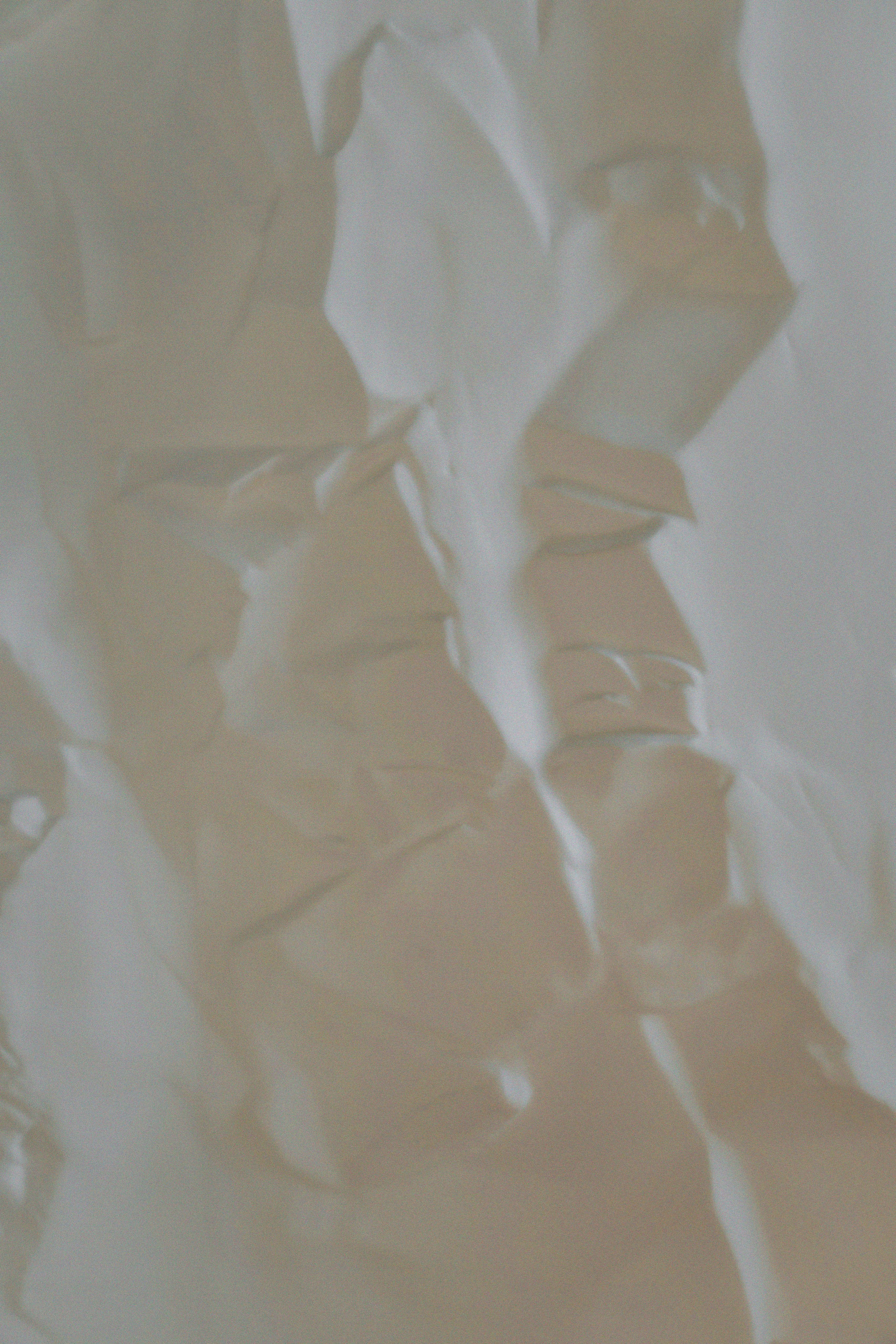 Тая в объятиях. Свадебный и семейный фотограф Арестенко Анастасия