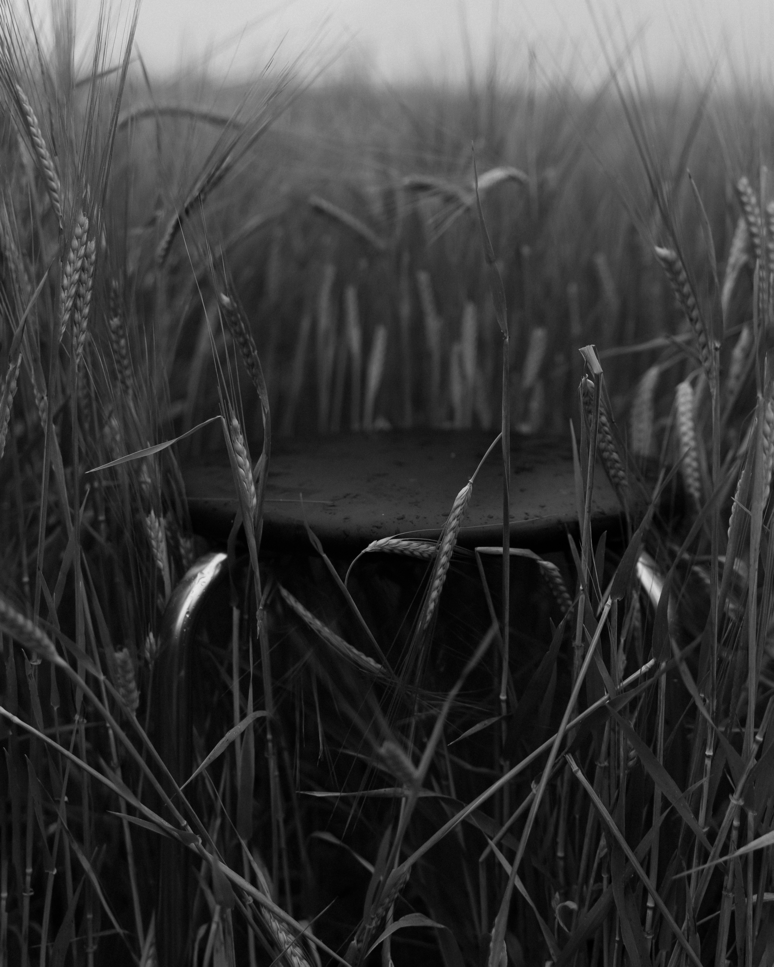 Ангелина. Персональный фотограф Наталья Иванкова, Москва