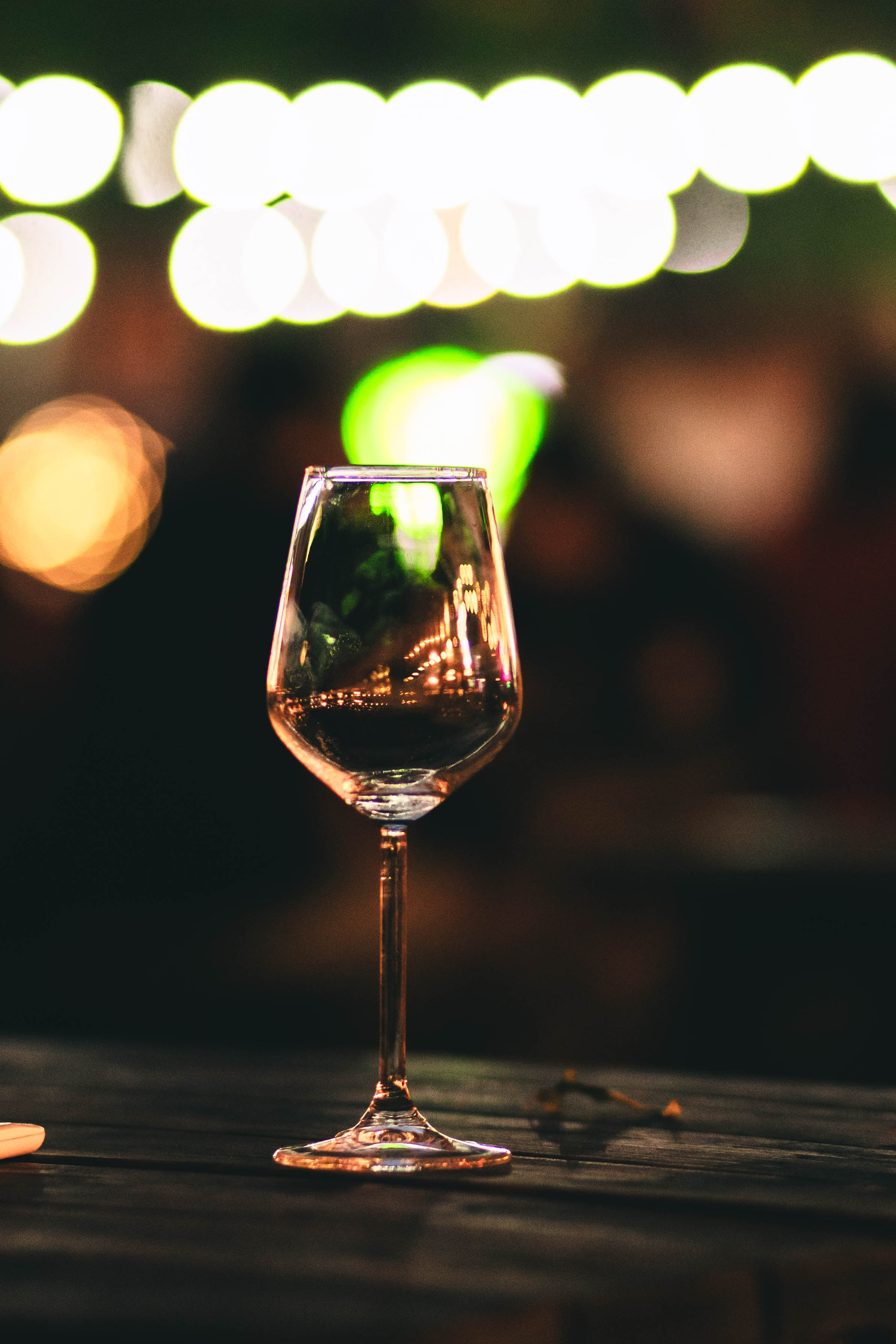 Pet-Party + Live-music |Парк Культуры. Фотограф в Ставрополе Алина Клочкова