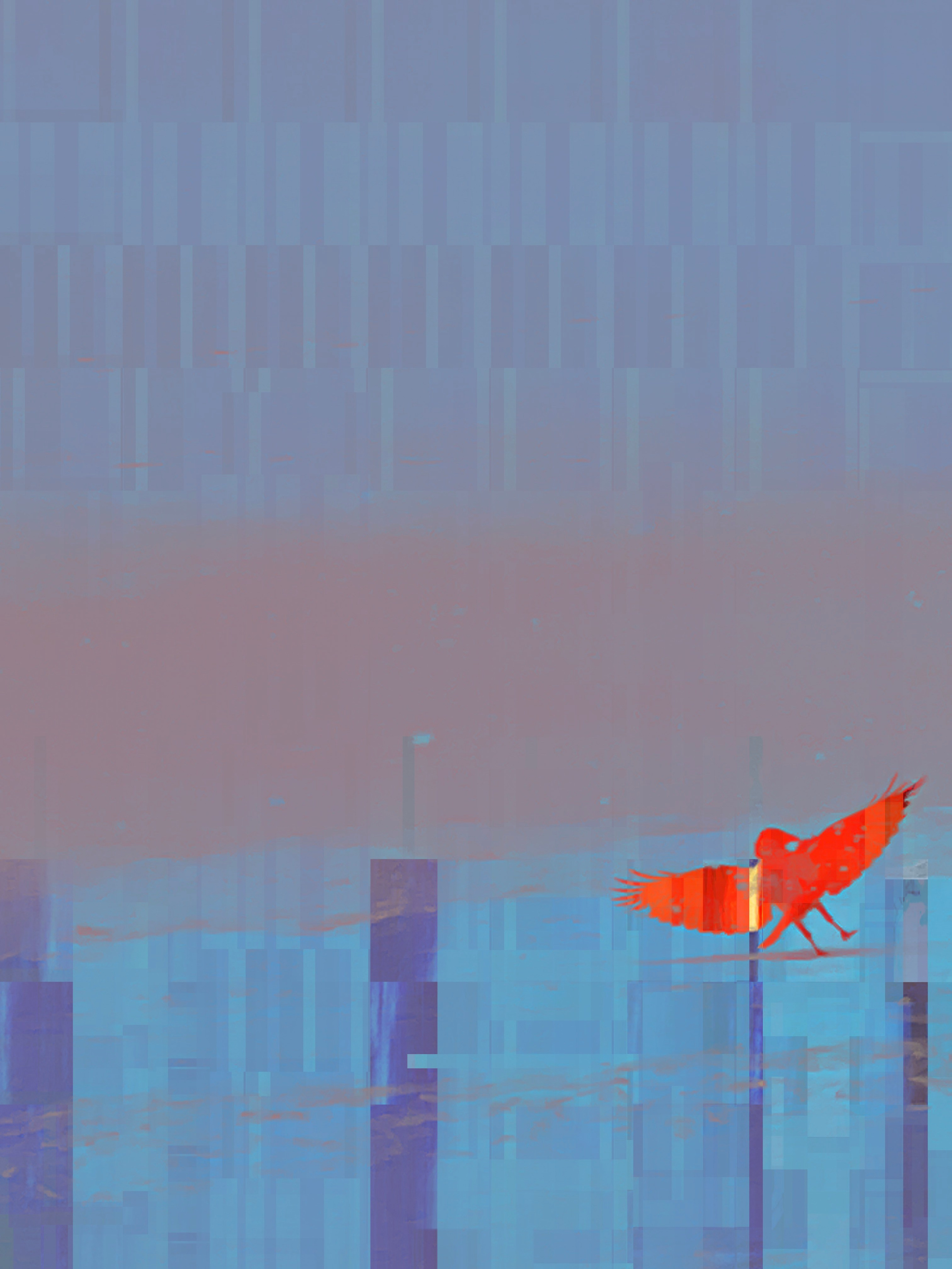 Вороны на снежном покрове. MEMORY in NATURE | digital art gallery