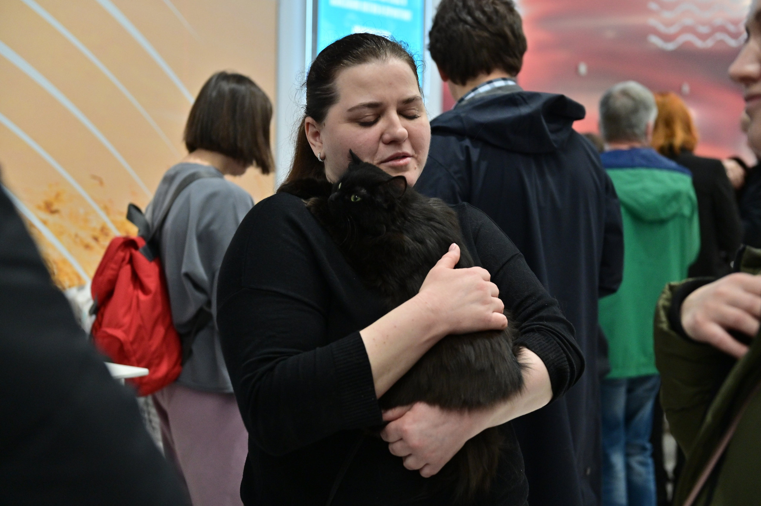 Выставка пристройство: приют «Подбери друга». Анна Пушина, фотограф, Москва, Королев, Пушкино