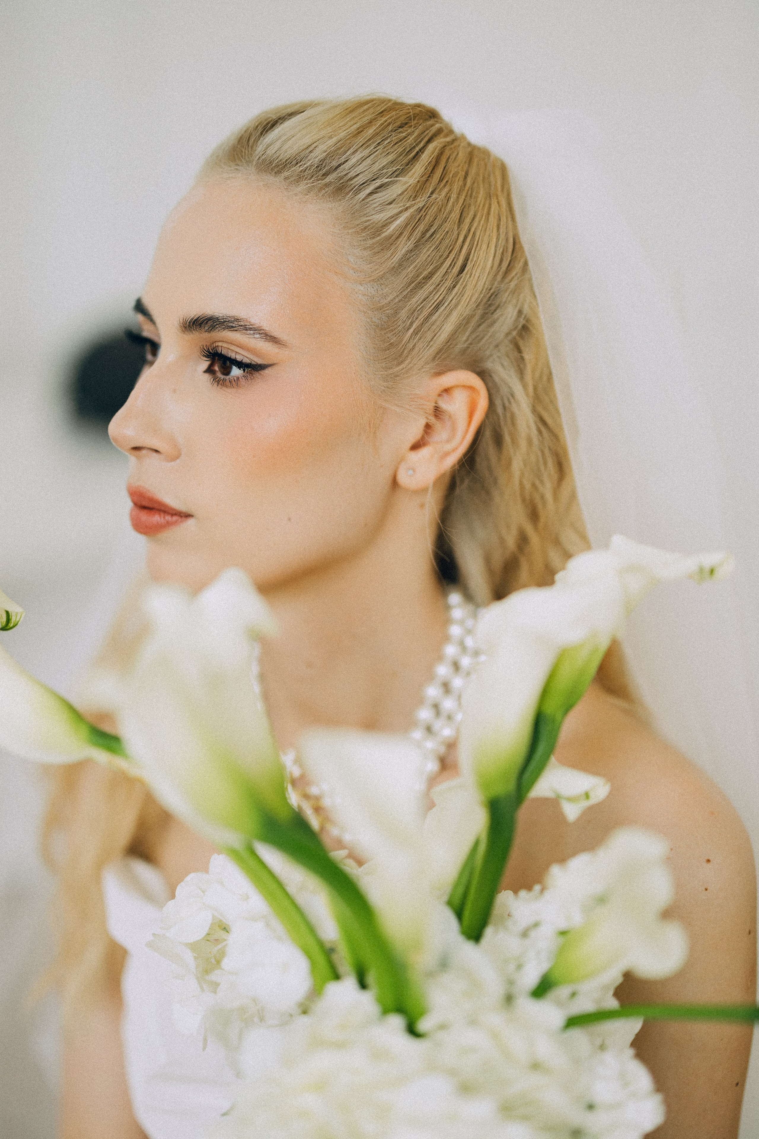 Dandelions. Daria Chigintseva Photographer