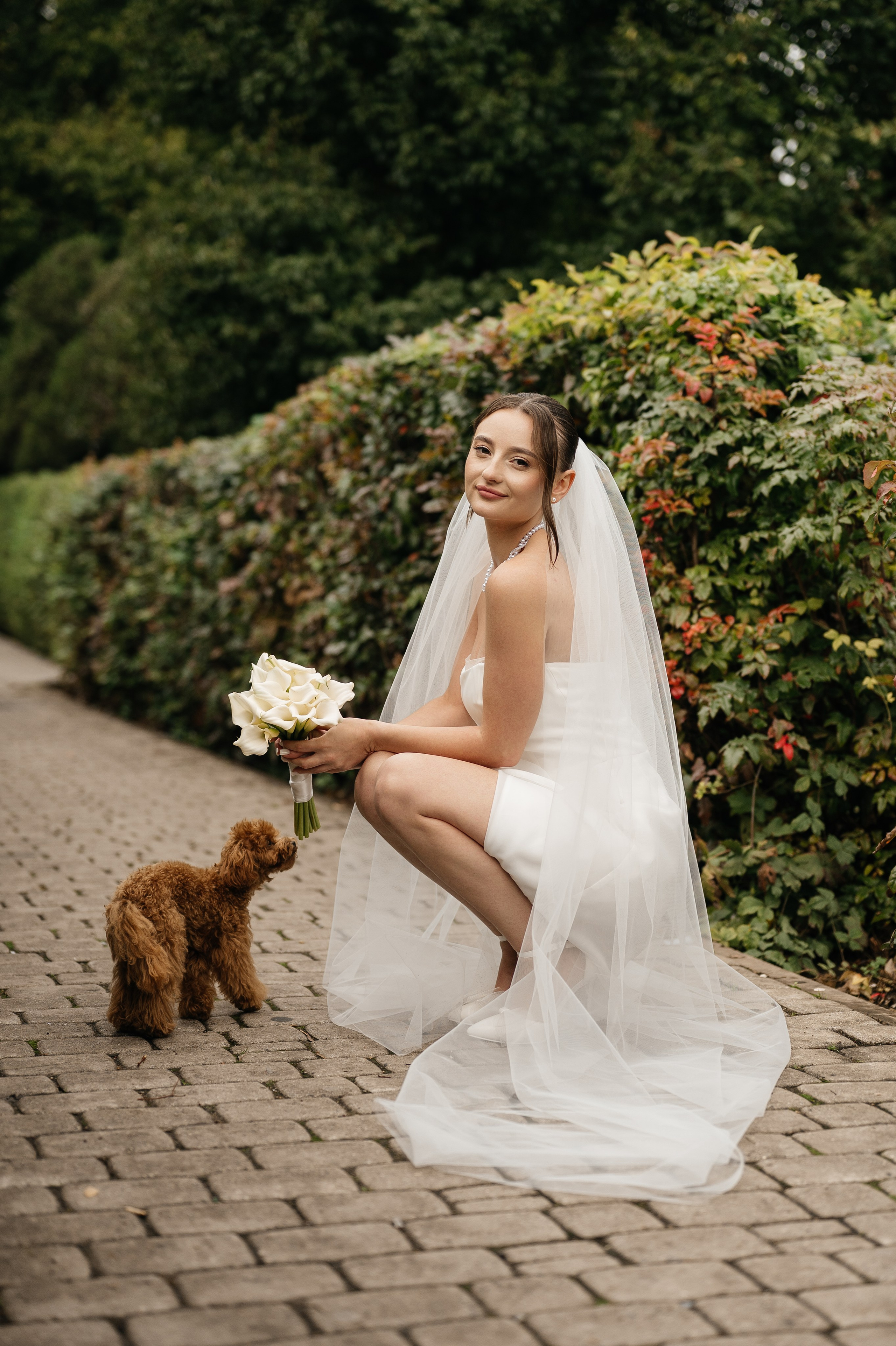 Константин и Виктория. Свадебный и семейный фотограф в Краснодаре Алина Мельник