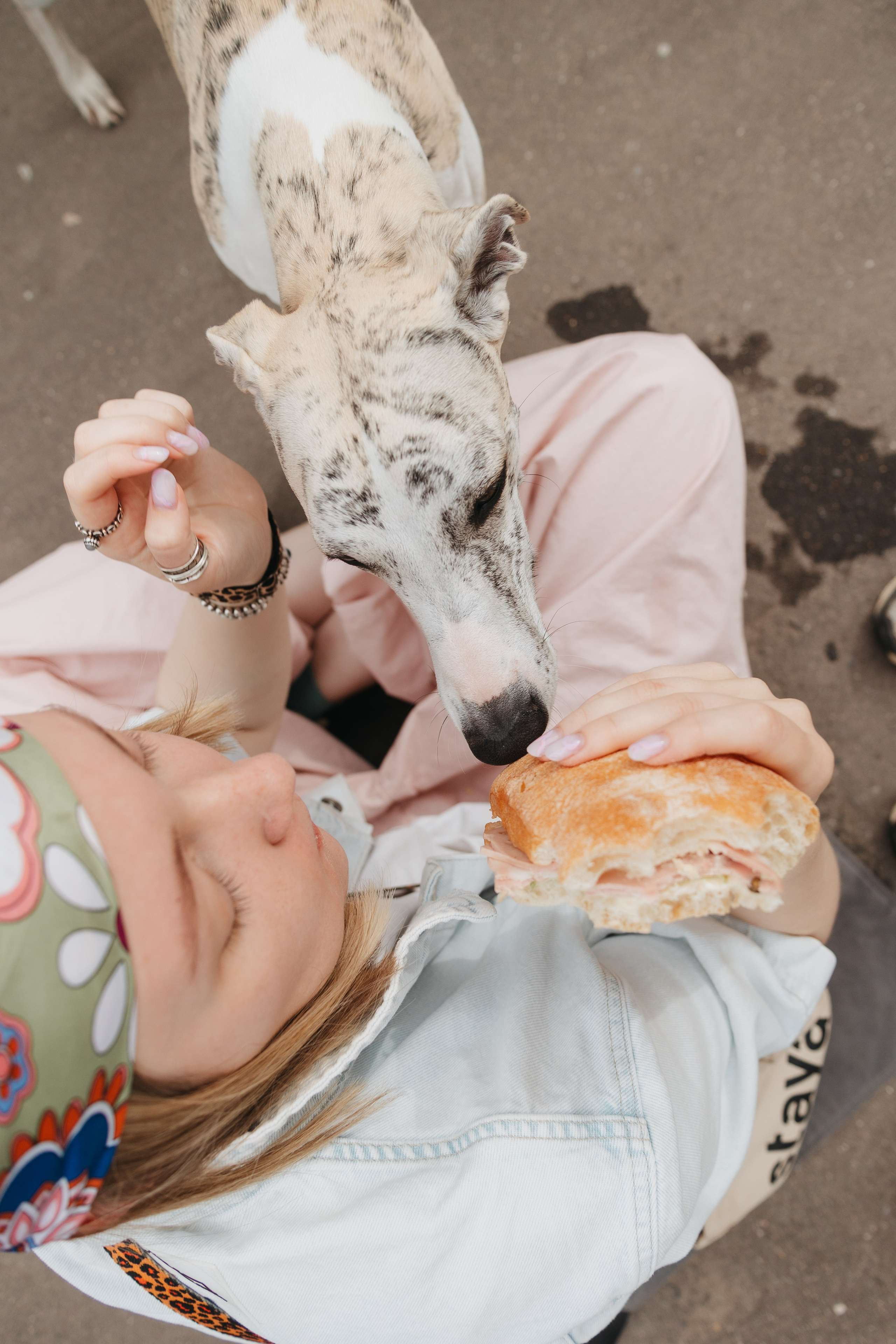 Саша и Гусь. Фотограф анималист Кристина Карпова, Москва