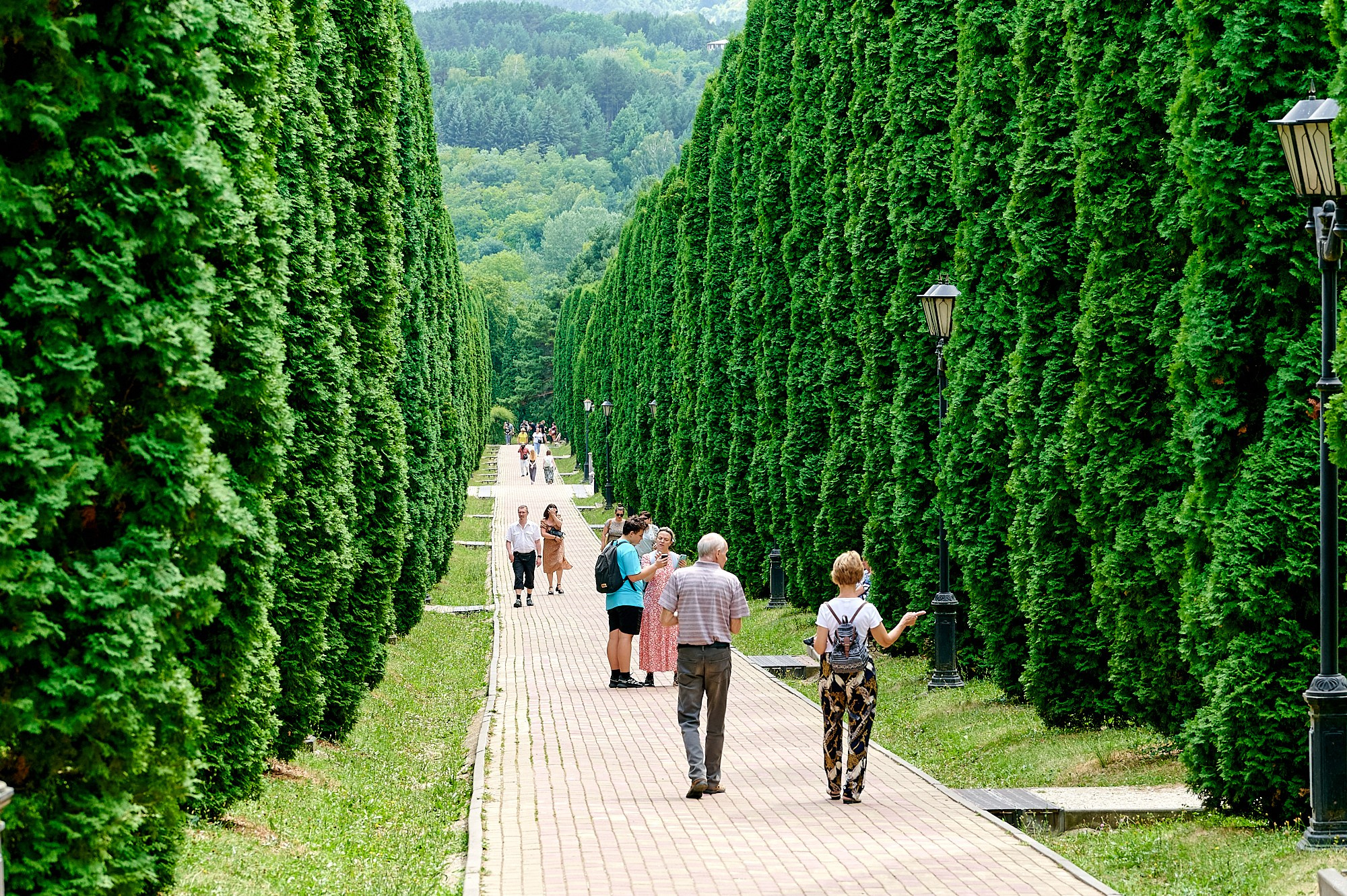 Кисловодск, Россия. Август 2024. Фотографии отовсюду и обо всем