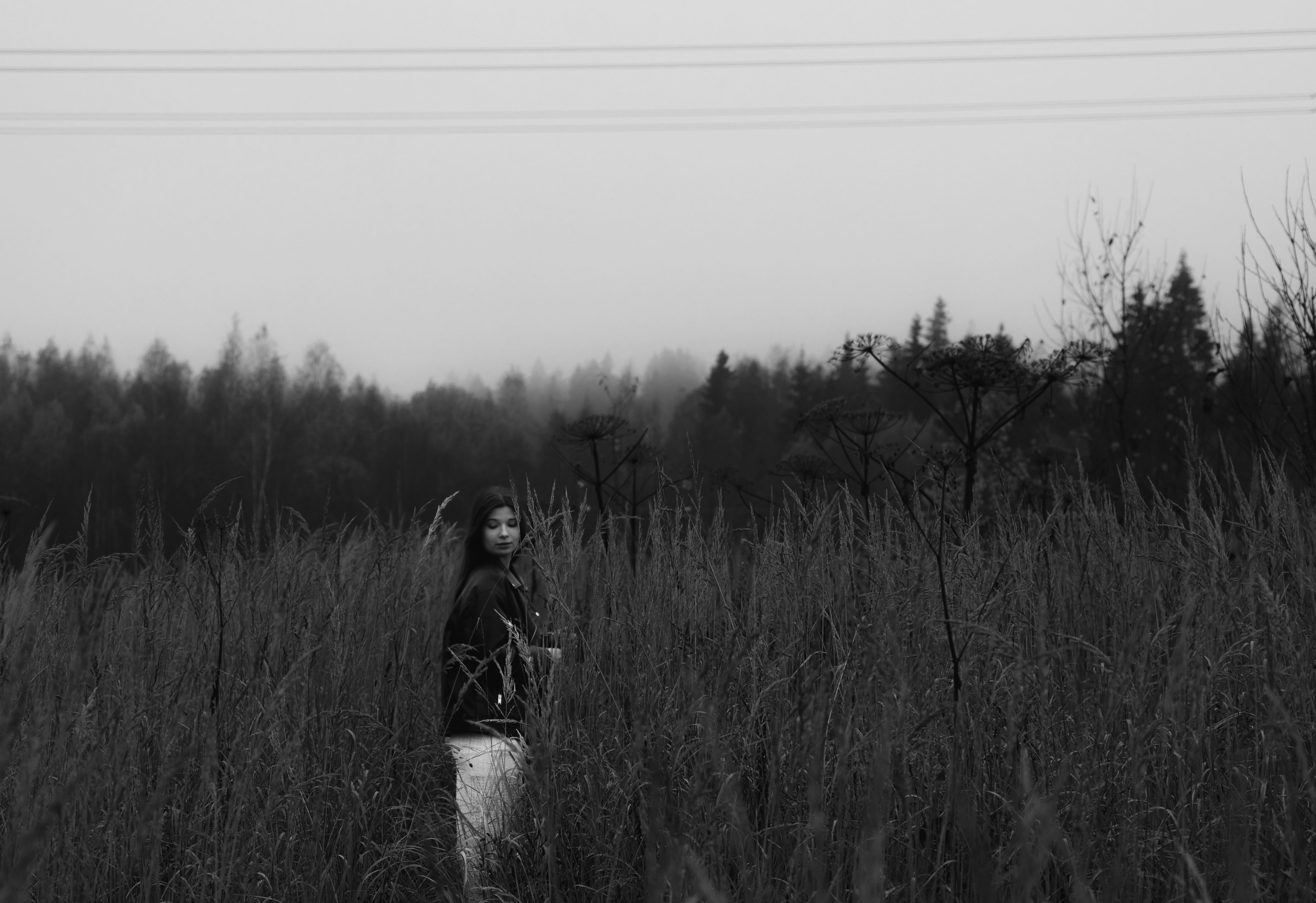 Сумерки. Елизавета Ковалевская — ваш профессиональный фотограф