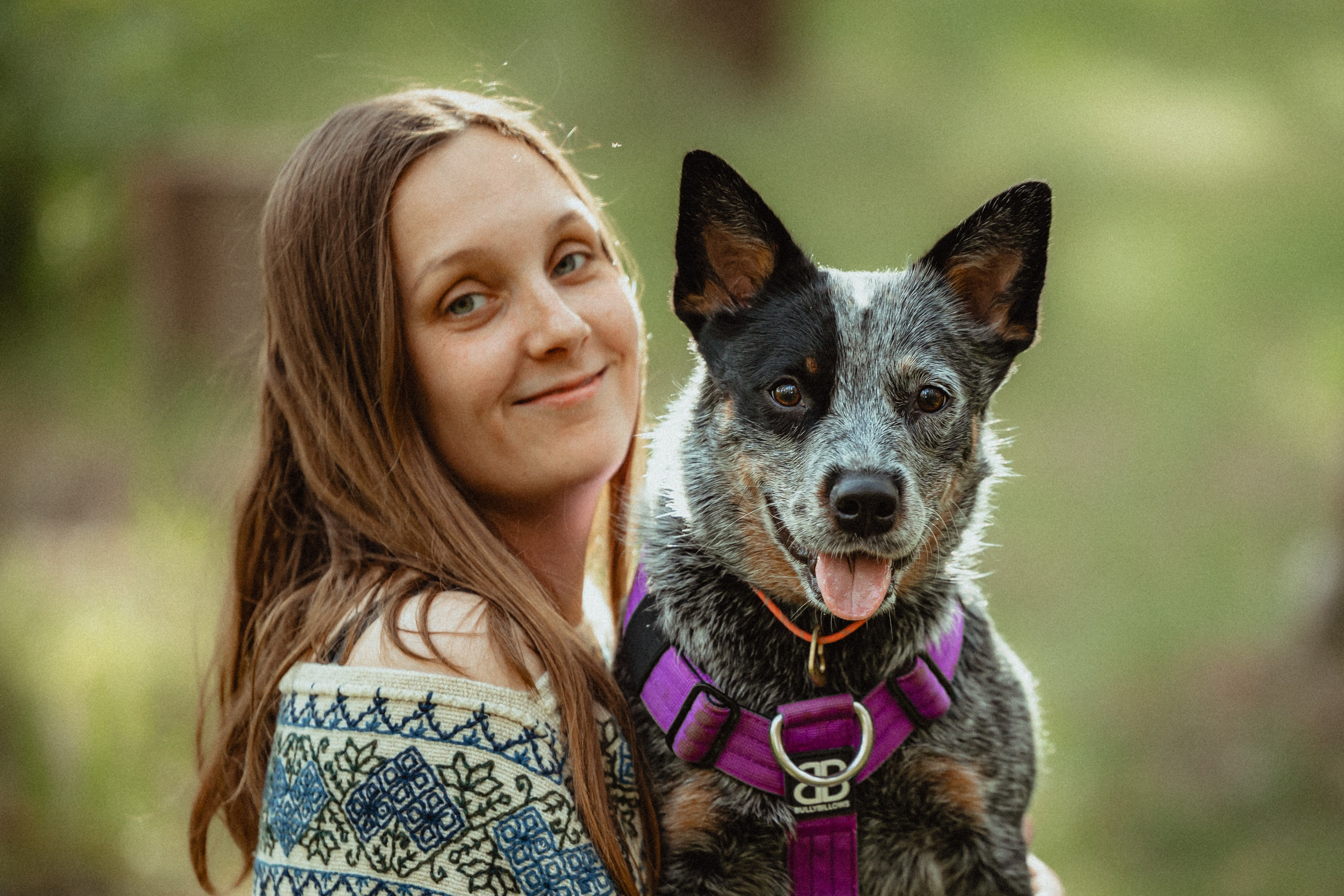 Выездной дог-тренинг от школы «Шерсть имею»