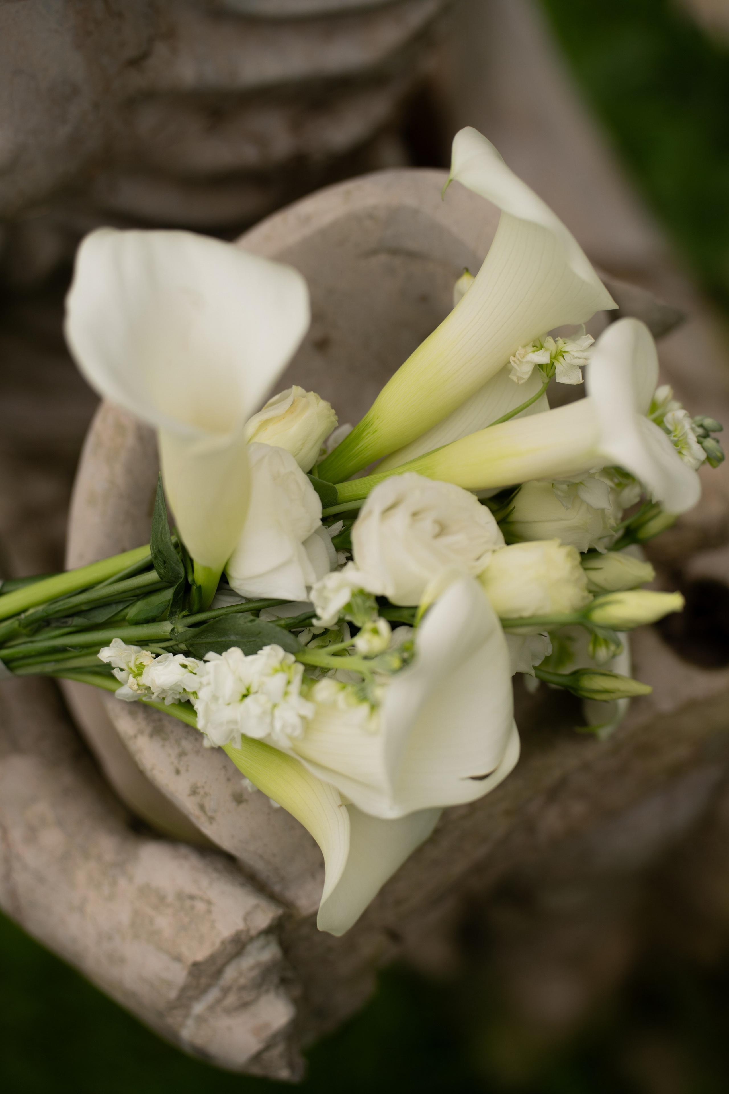 D&E. Vladislav Blinov photographer