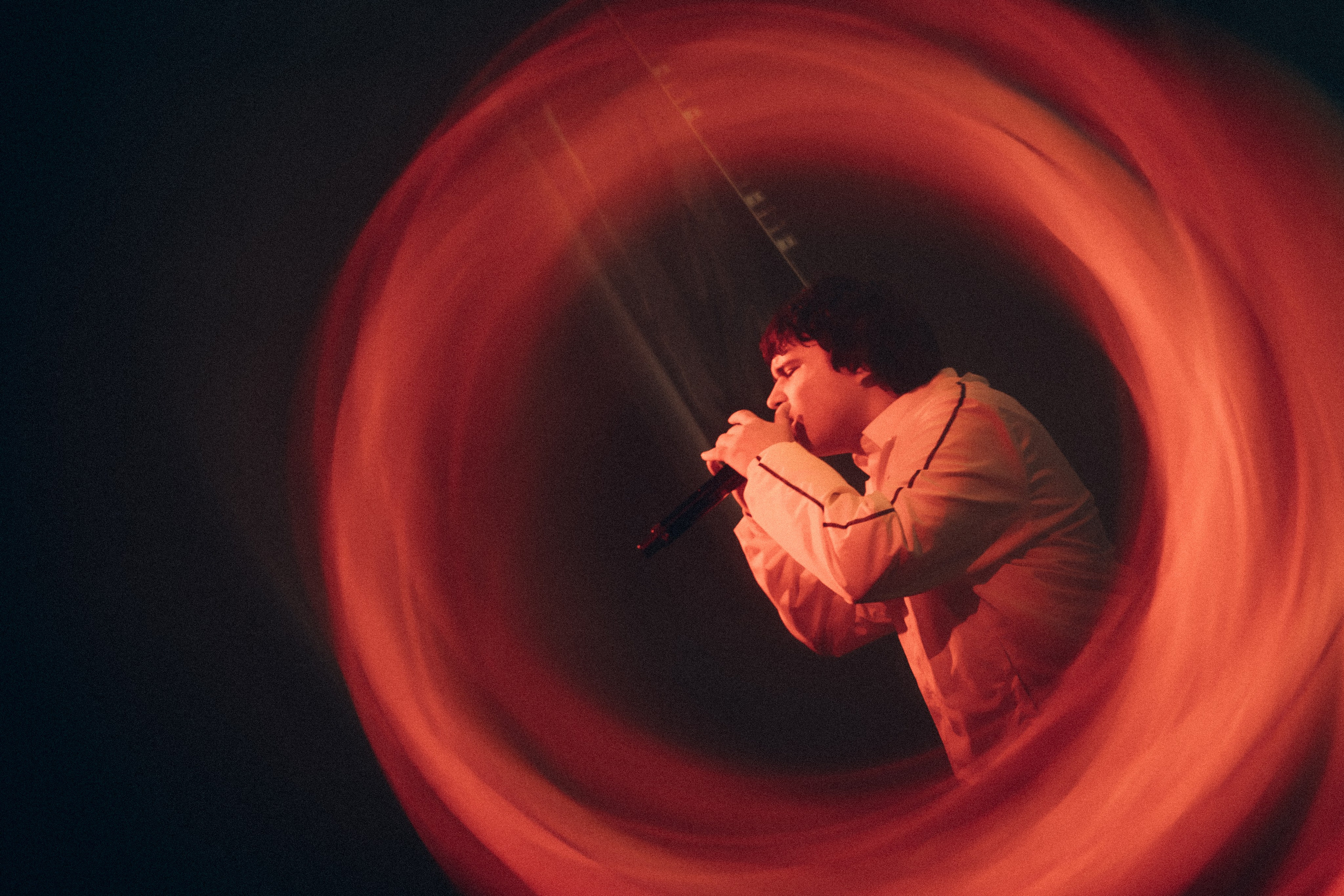 SALUKI. Фотограф Санкт-Петербурга