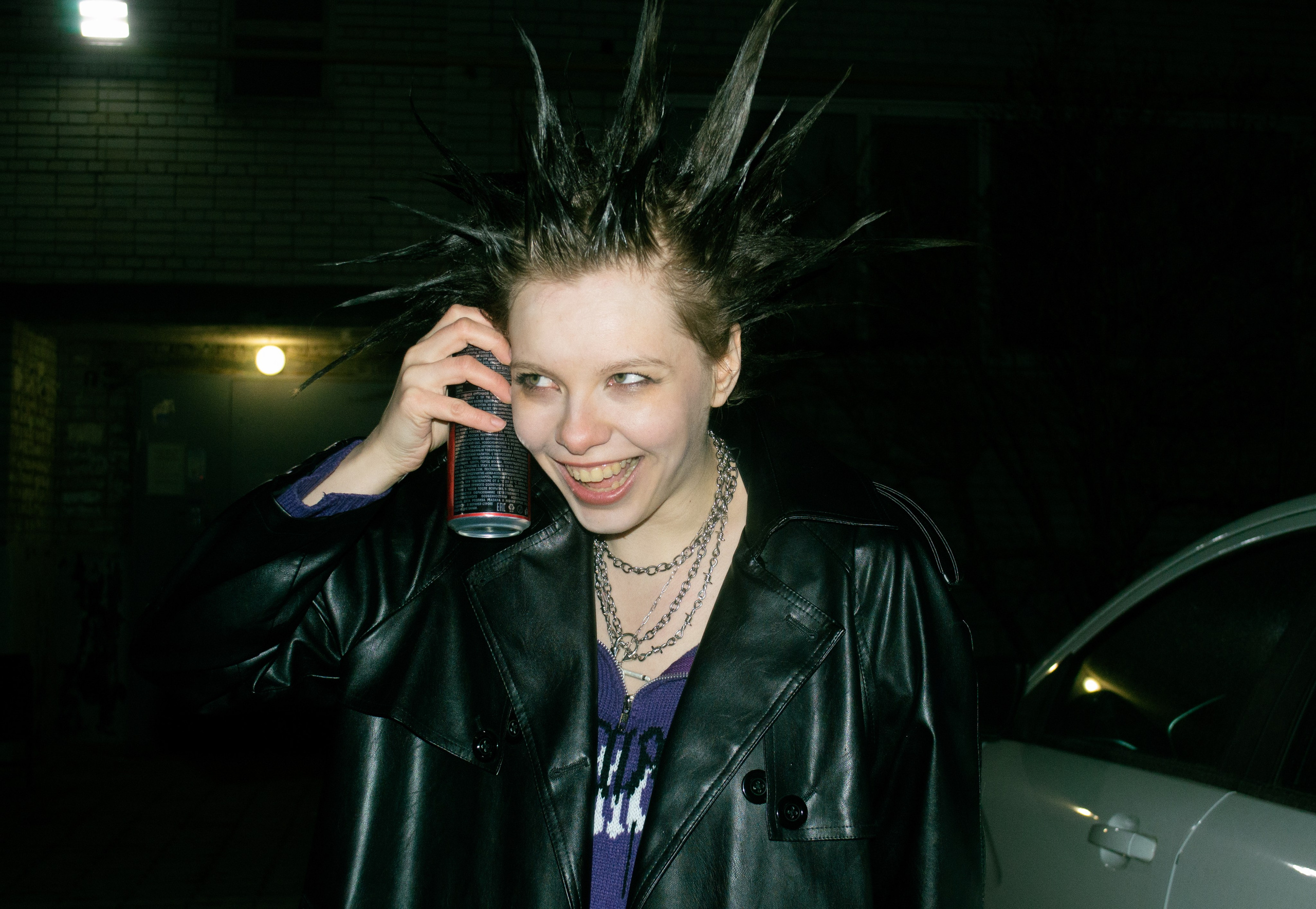 Гошок жив?. Костенко Анна pdie