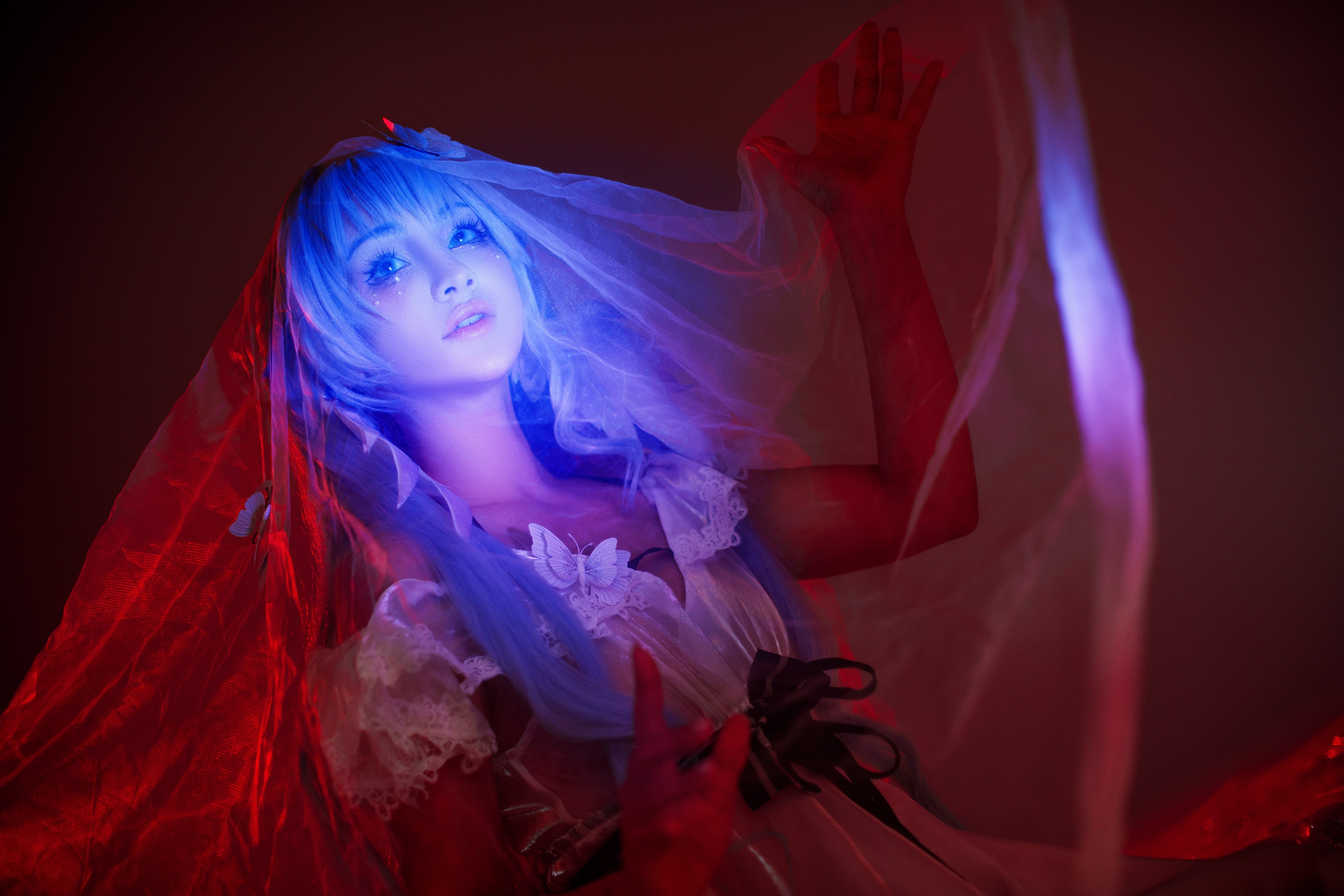 HSR: Robin. Polaroud love