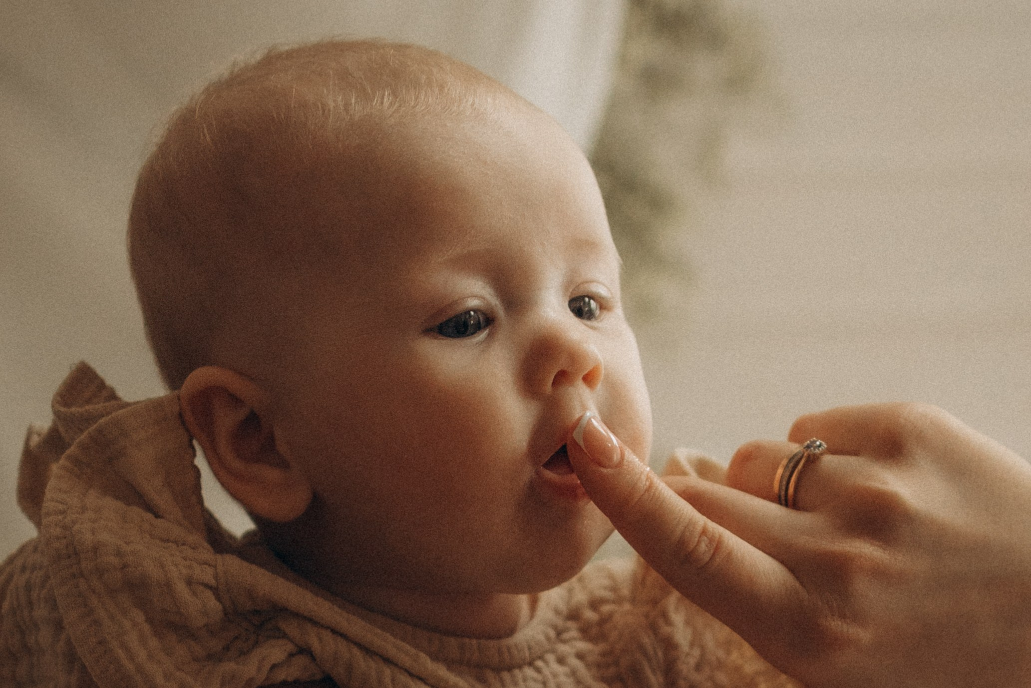 Настя, Кирилл и Эми. Семейный фотограф в Москве Валерия Карпова