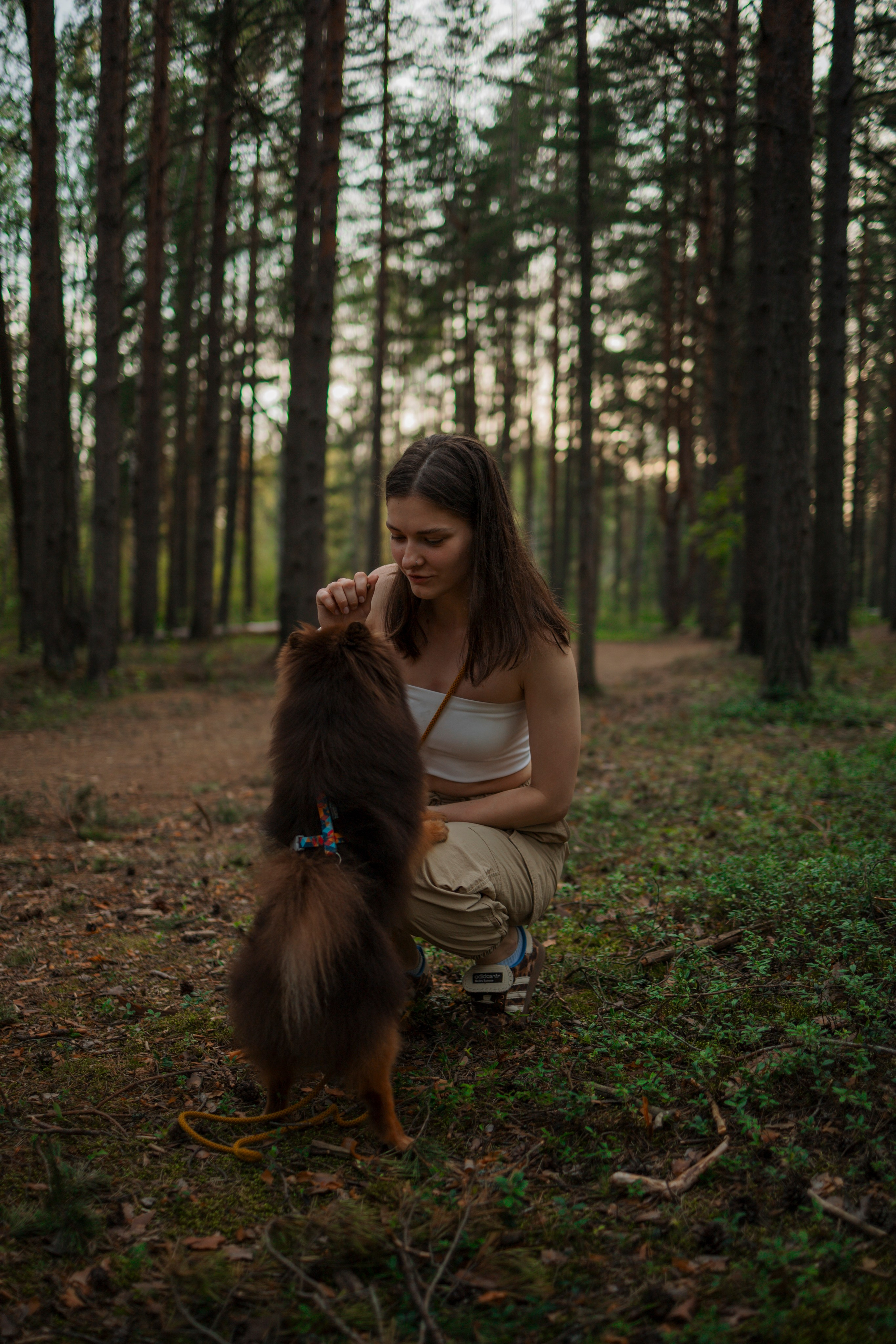 Сапфир и его семья. Фотограф-анималист в Санкт-Петеребурге Титова Алиса