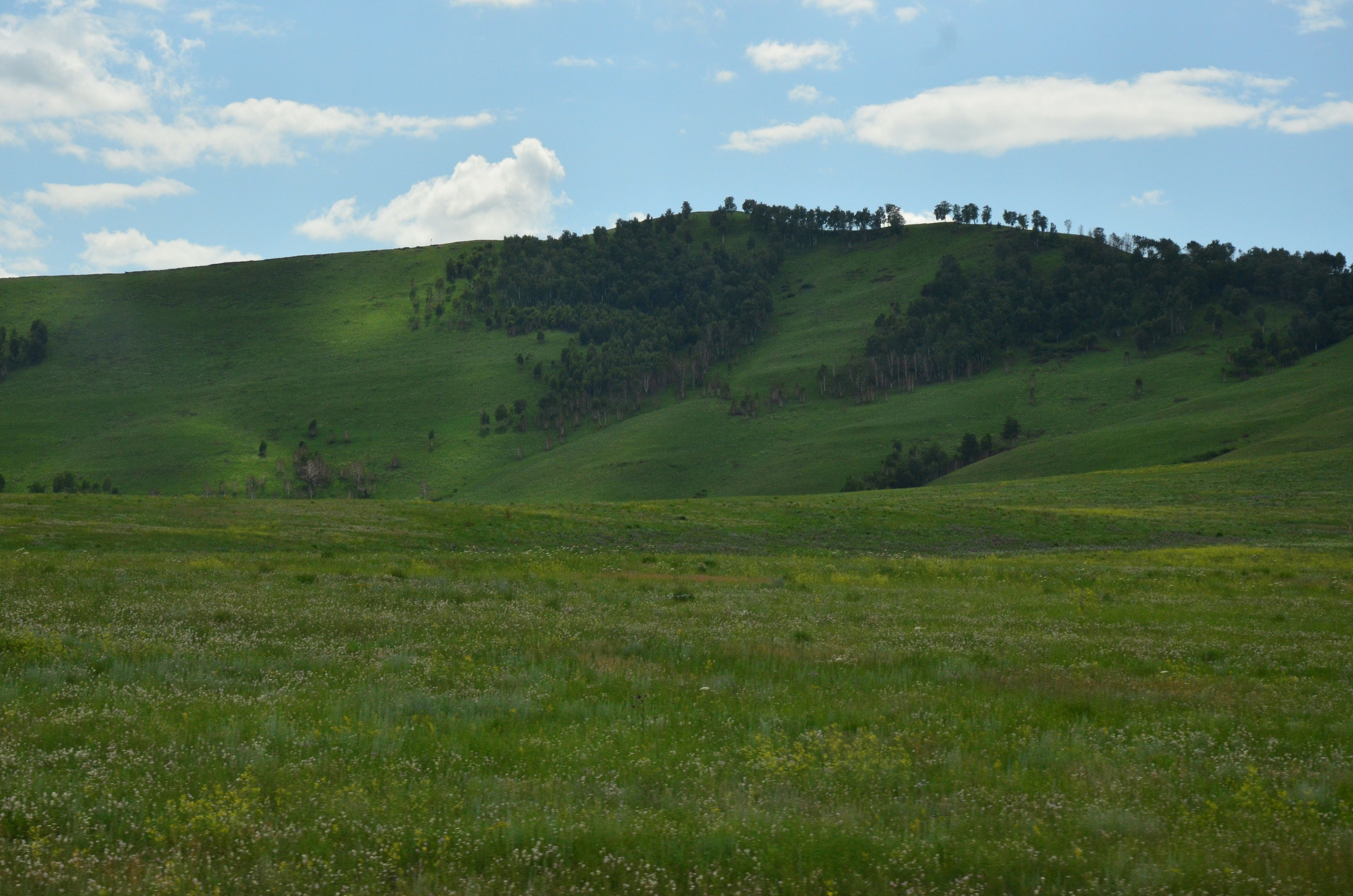 Дары природы. Фотограф viktor viktor