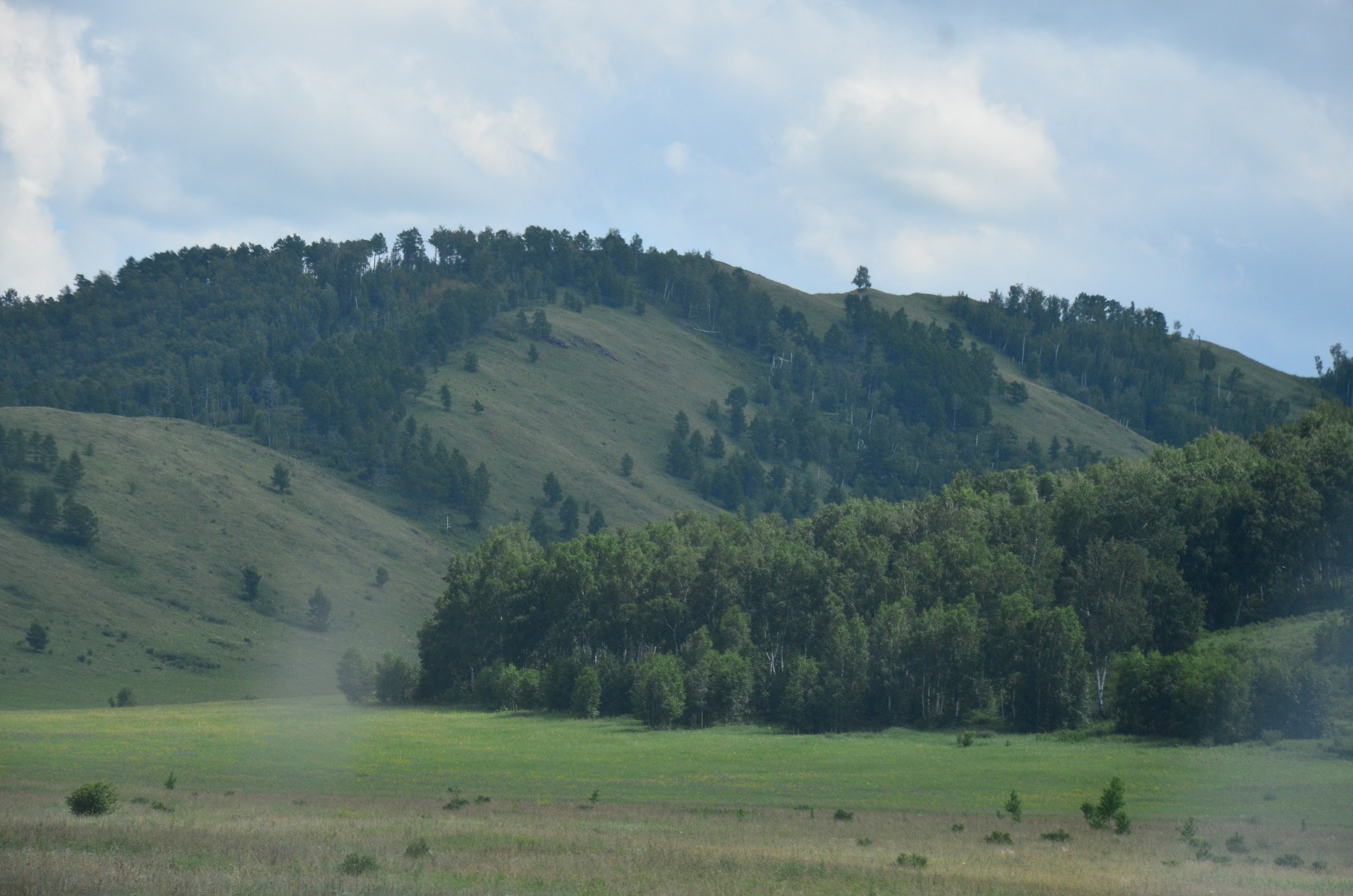 Дары природы. Фотограф viktor viktor