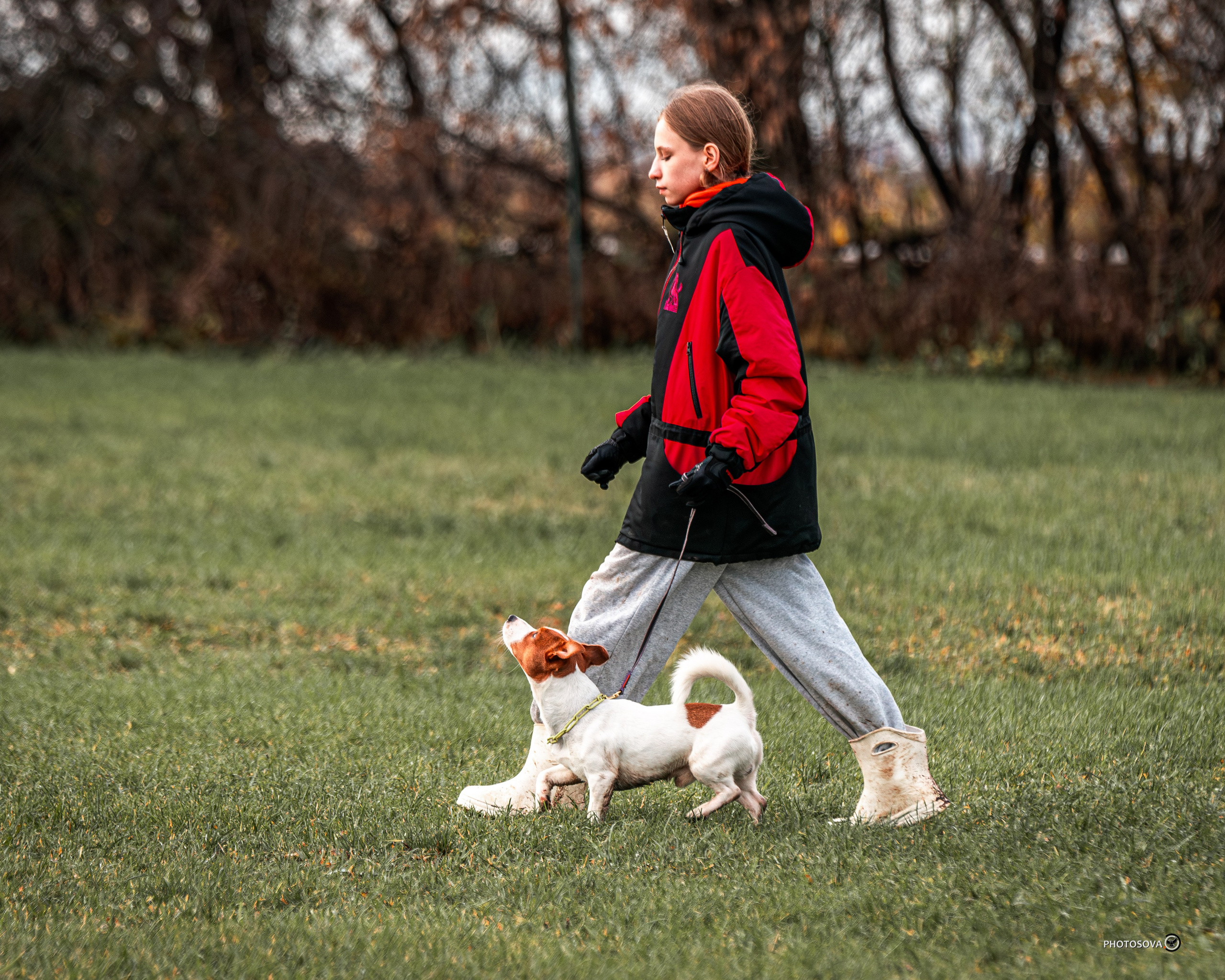 МЫ — КОМАНДА (соревнования) OKD, BH, IBGH, IGP. Фотограф-анималист, семейный фотограф в Москве и Подмосковье. Фотосъёмка кинологических дисциплин