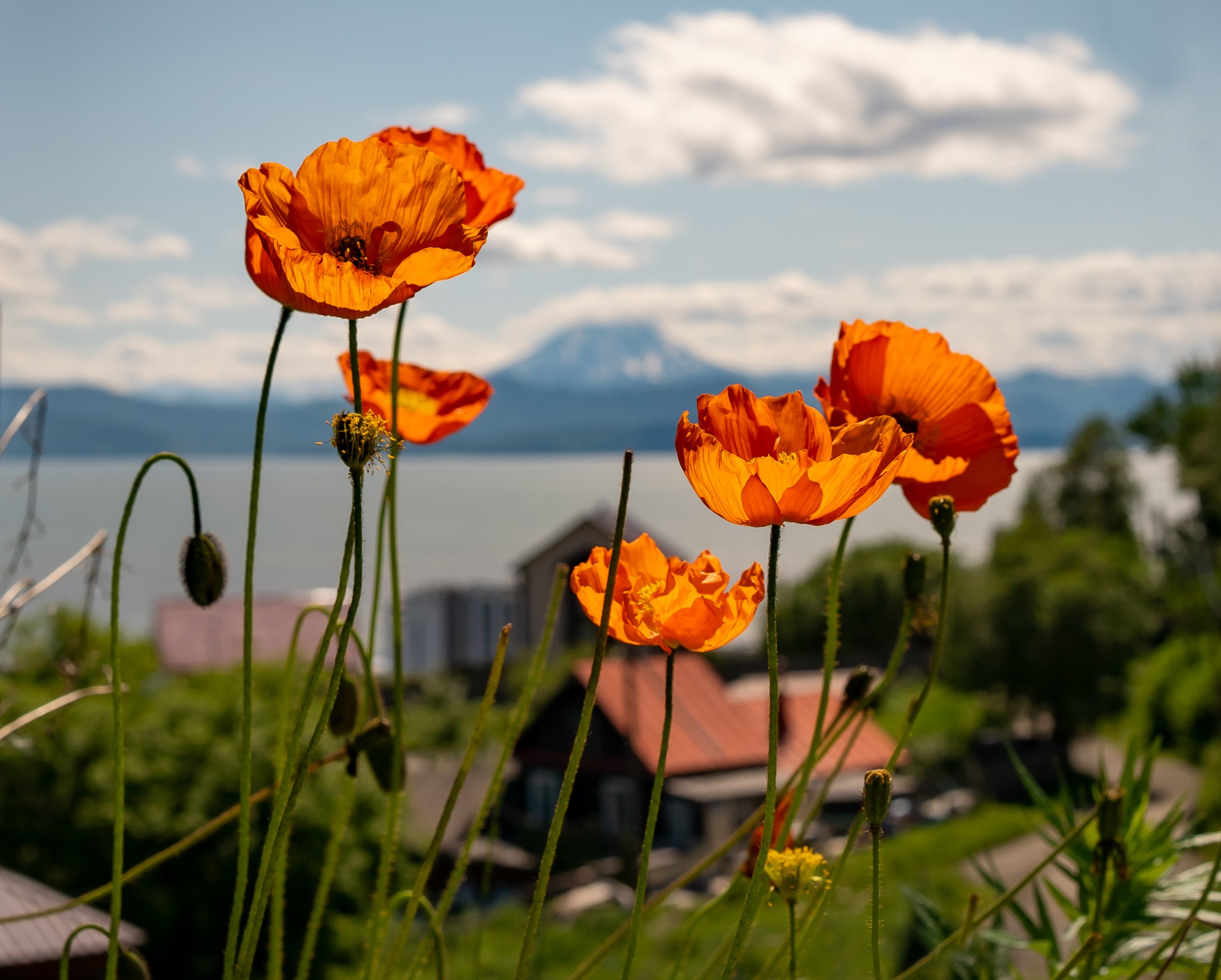 Отзывы. Семейный фотограф Варвара Сорока в городе Москве
