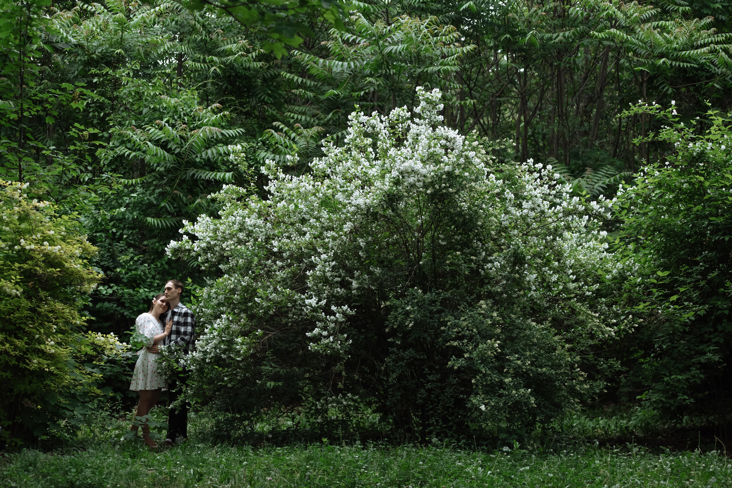 Дарья & Кирилл love story. Фотограф в Краснодарском крае Александр Шульга