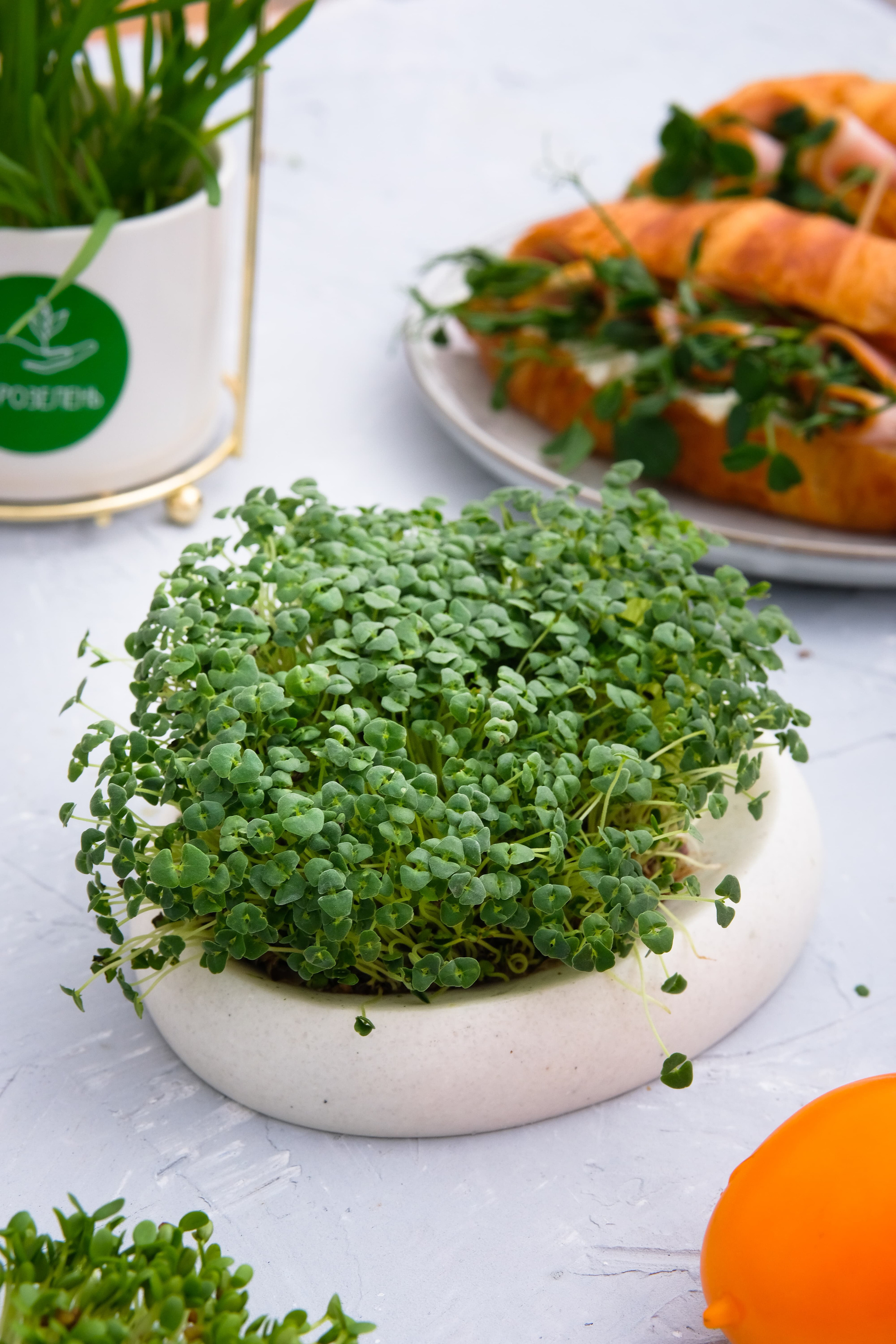 Фуд фото. Контент Предметный фотограф Саратов, контент для бизнеса, съемка для брендов, предметные фотосъёмки в Саратове. Елена