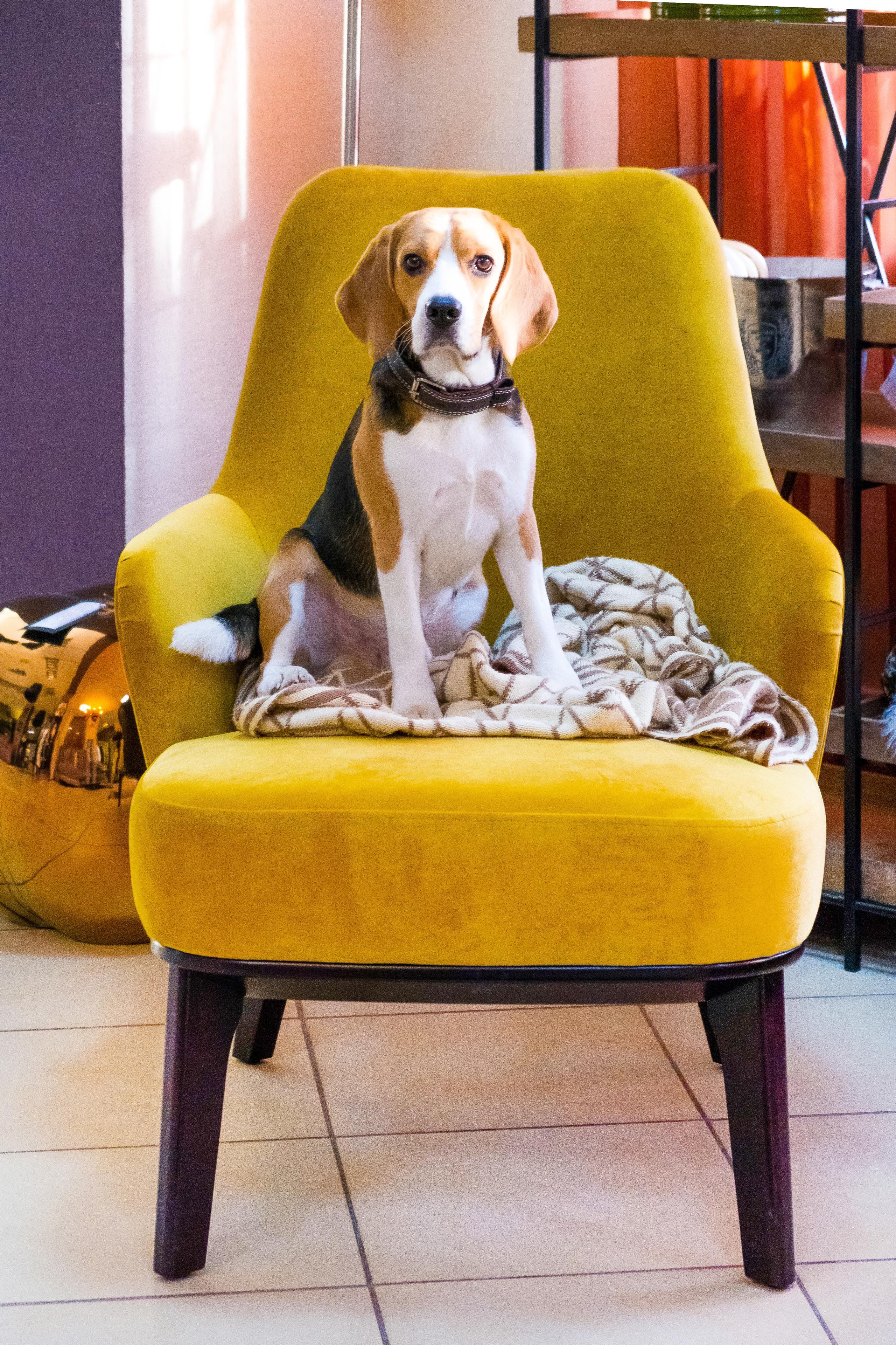 Интерьер. Контент Предметный фотограф Саратов, контент для бизнеса, съемка для брендов, предметные фотосъёмки в Саратове. Елена