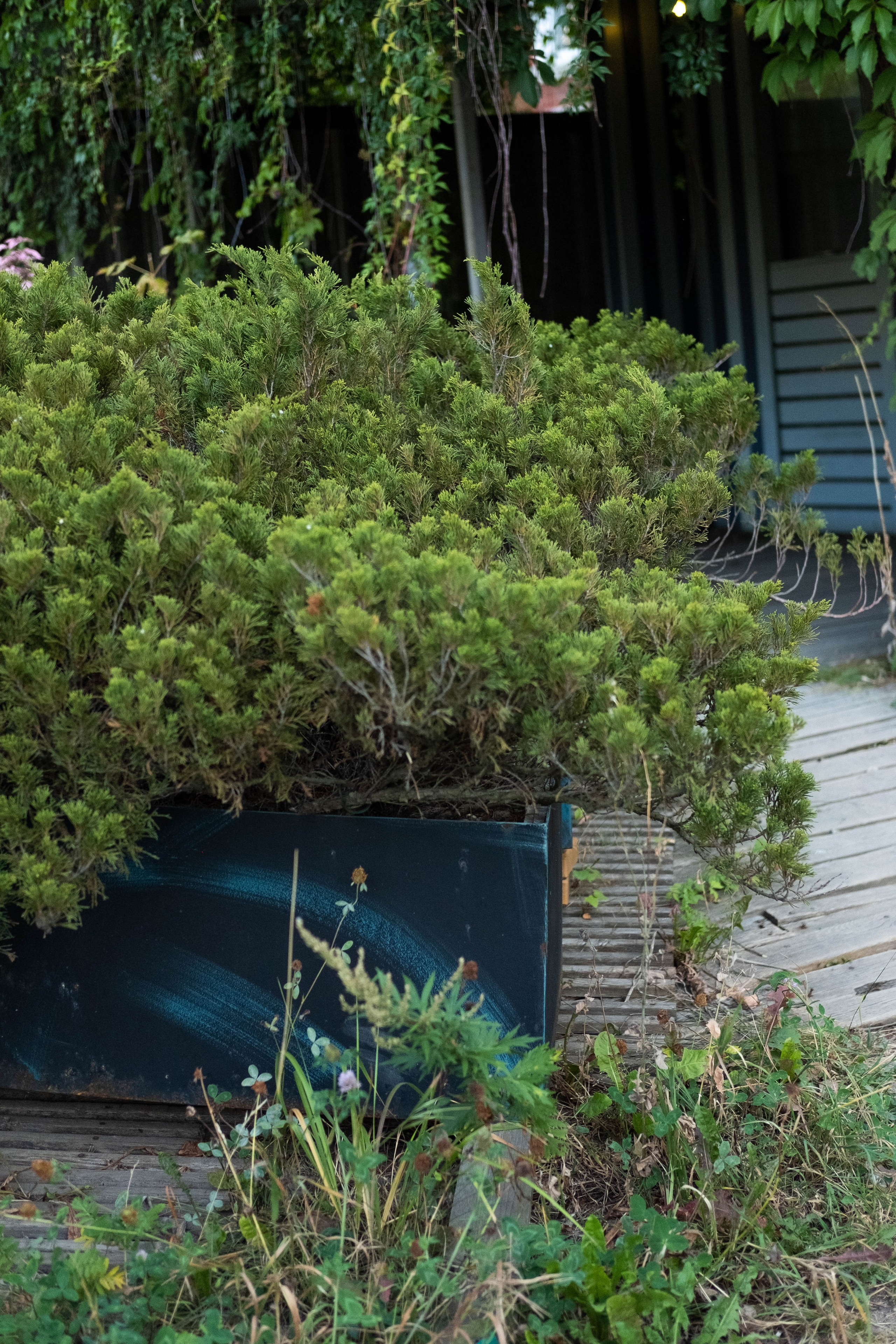 Москва 2024. Свадебный и семейный фотограф в Новосибирске, Санкт-Петербурге, Москве