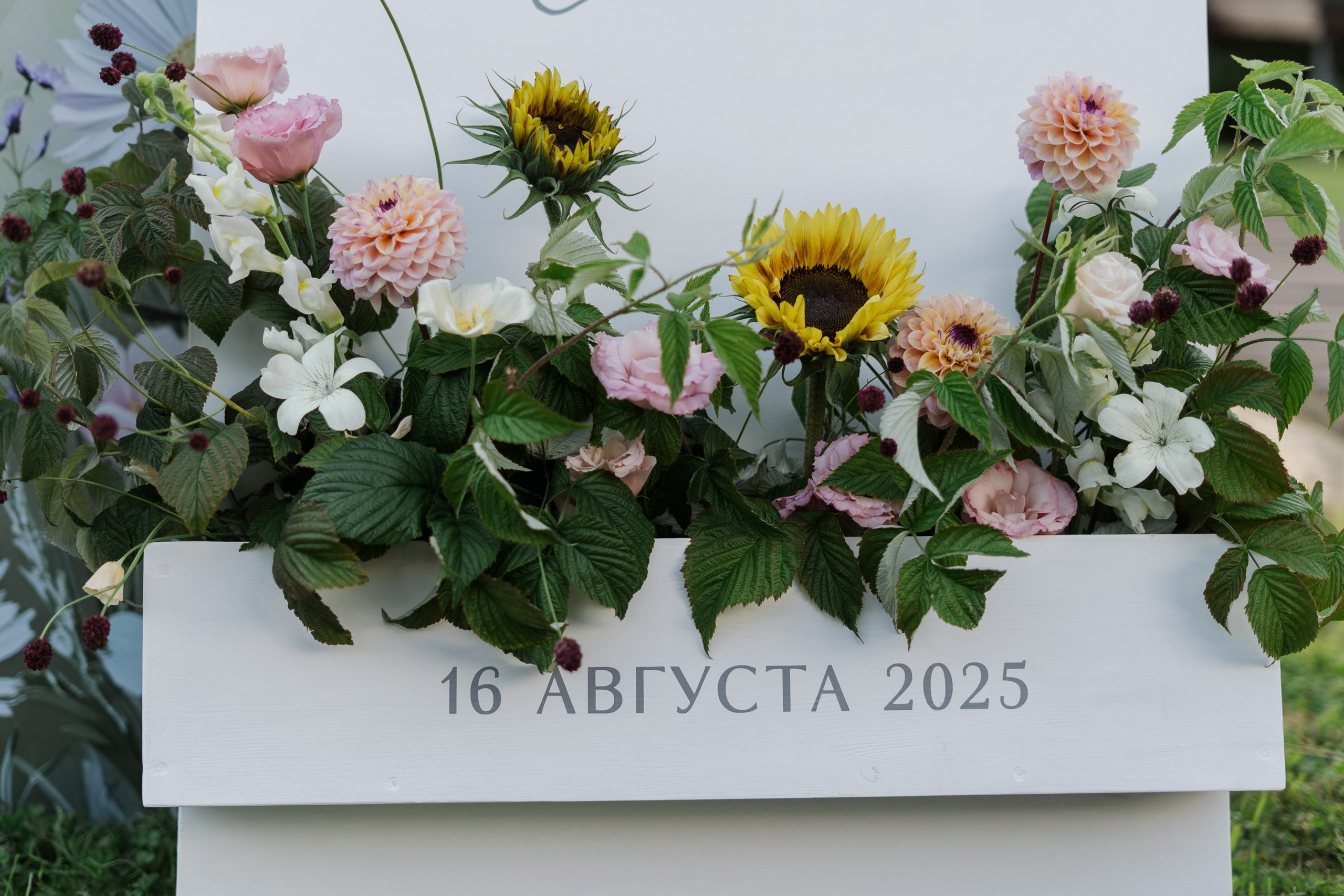 Валентин Евгения. Григорий и Ольга Насинник — свадебный фотограф Архангельск