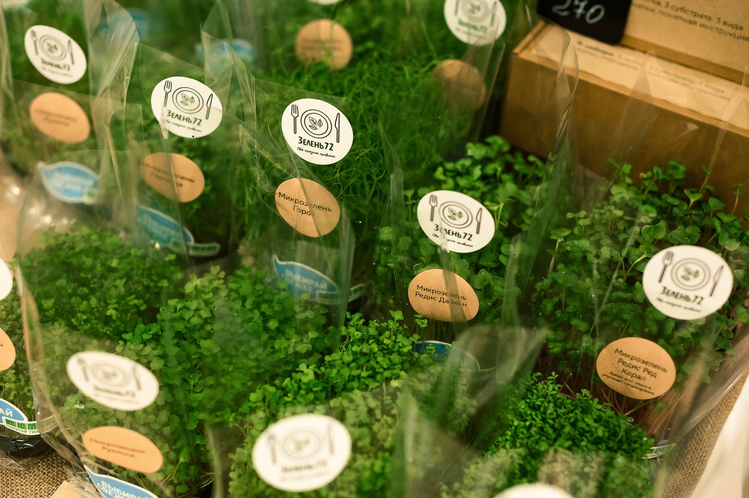 Сибирь на вкус 2025. Евгений Нисковских — свадебный и репортажный фотограф в Тюмени