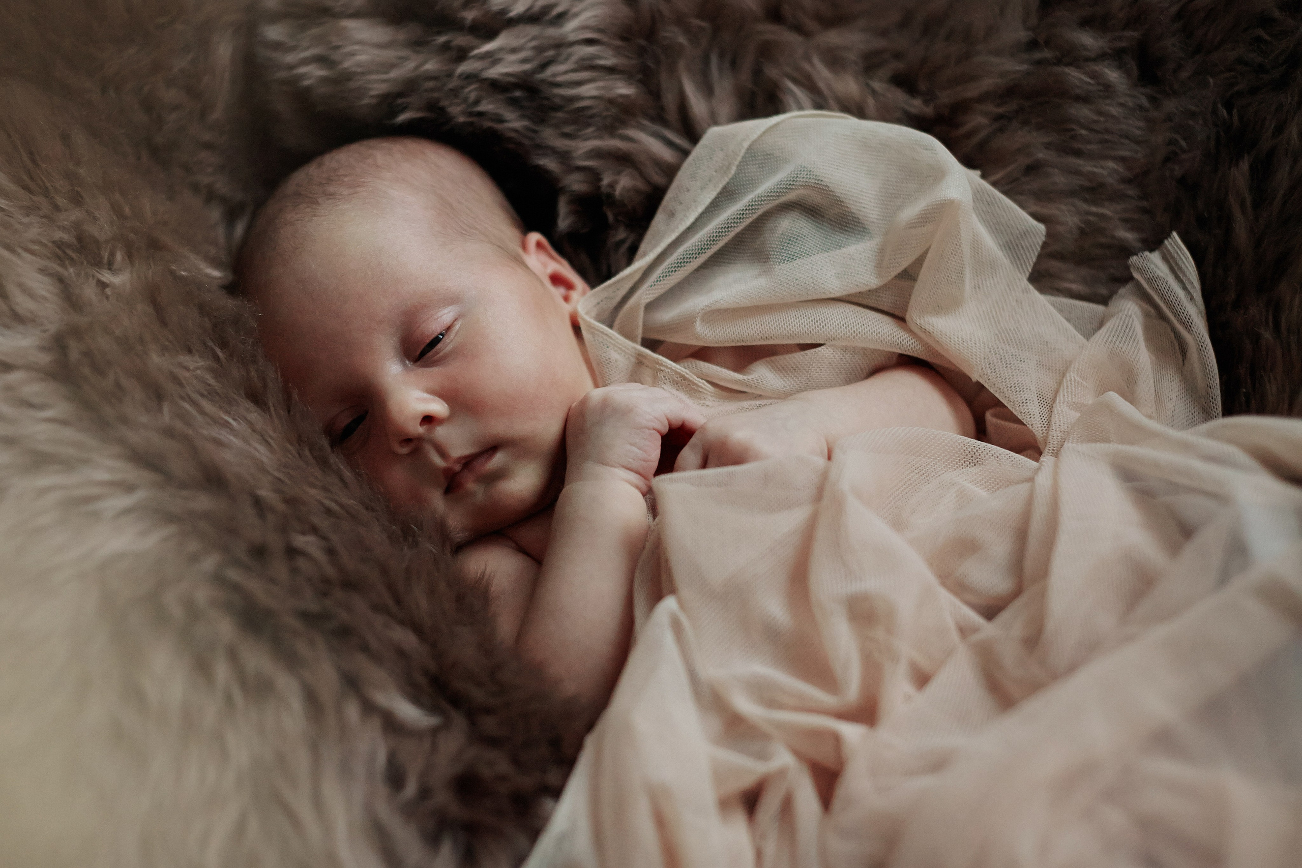 Есения. Фотограф Ольга Ефремова