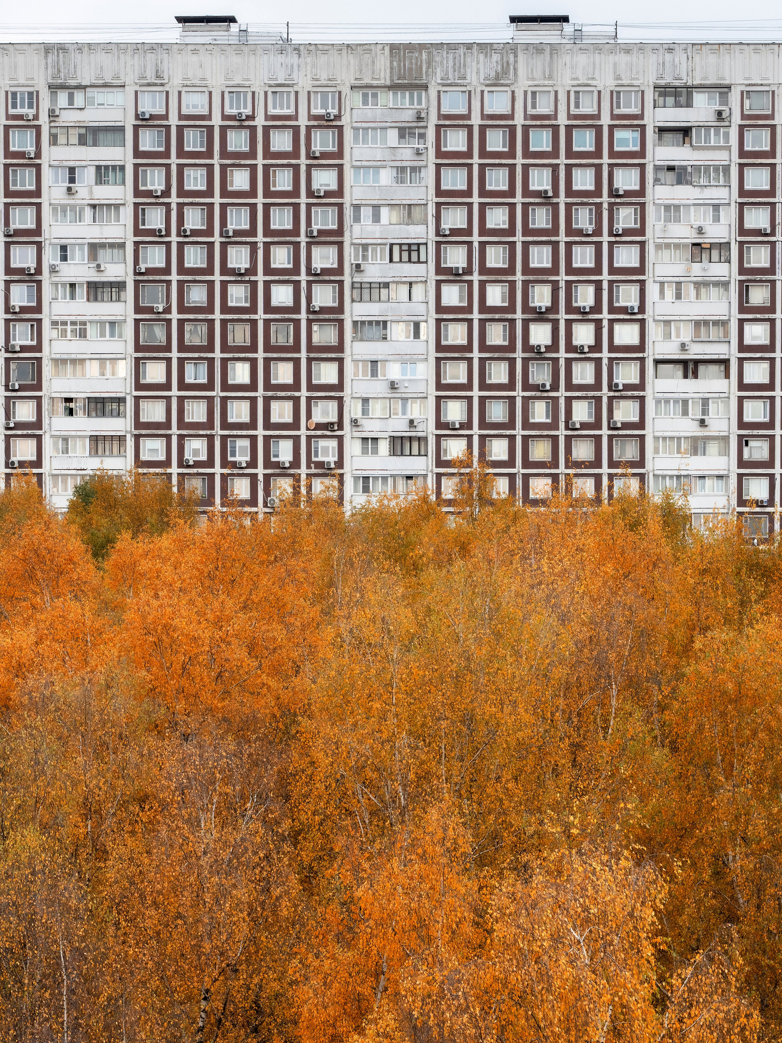 Москва панельная. Эд Тихонов. Городской фотограф