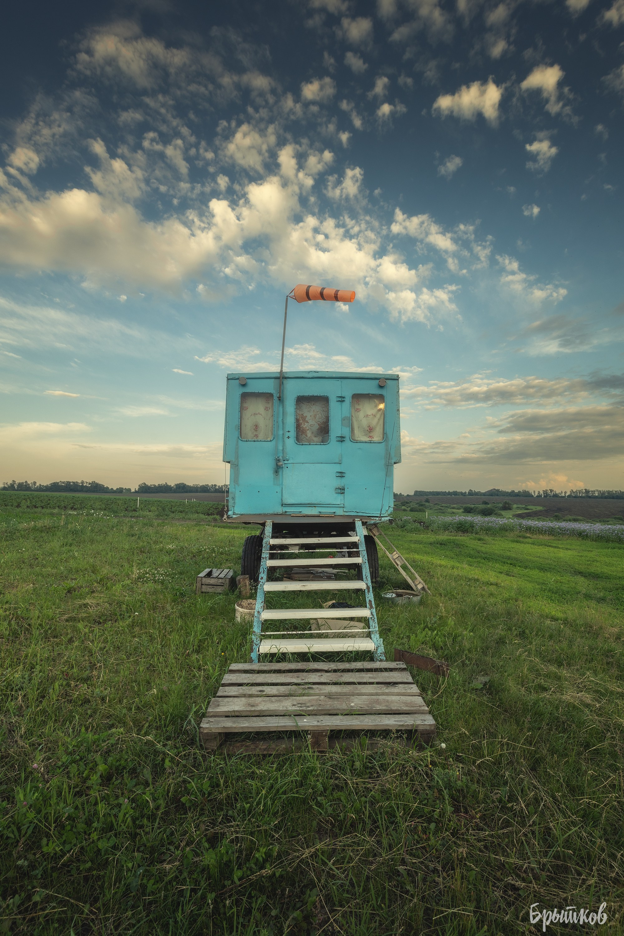 Фацелия. Николай Брытков — фотограф в Туле