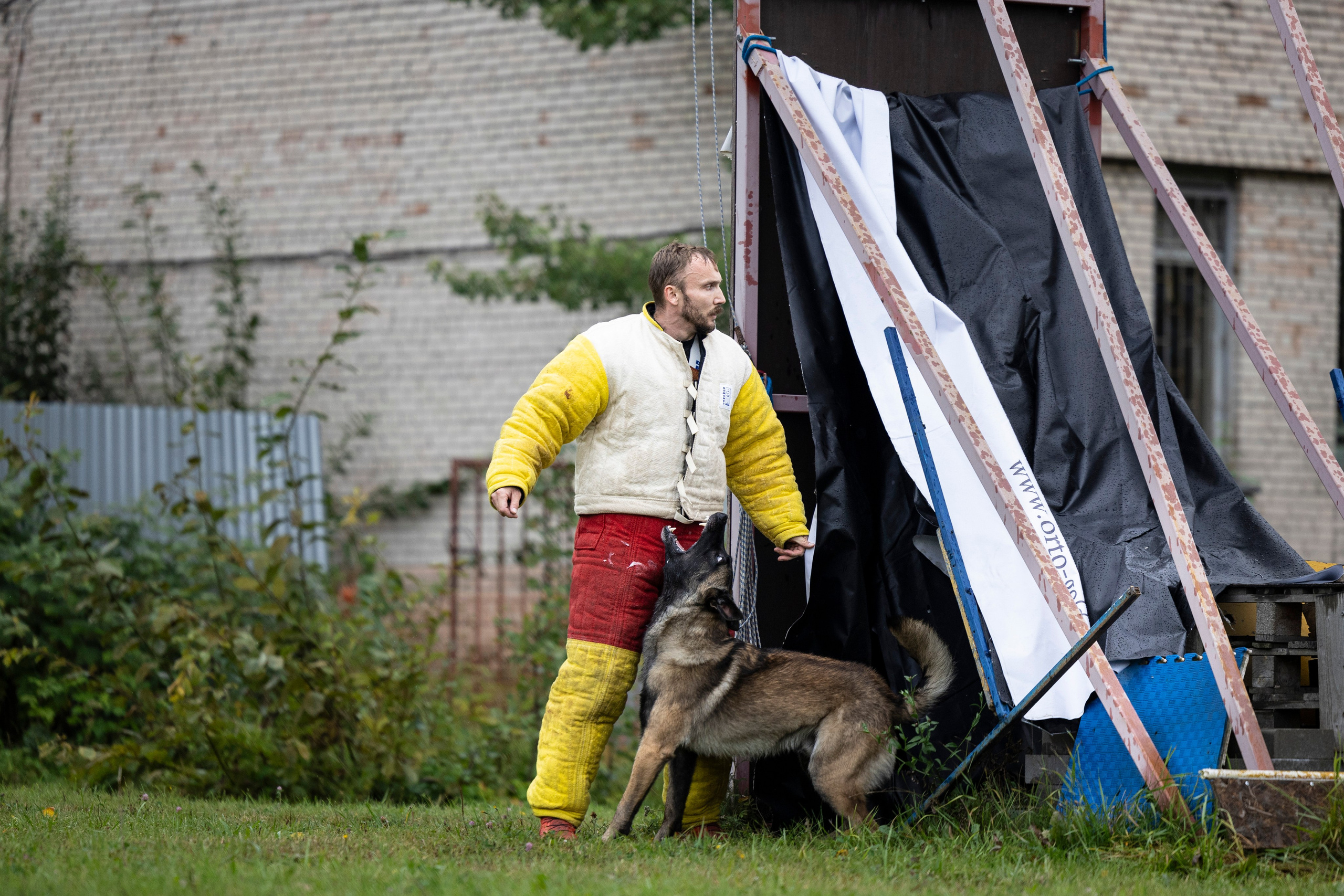 Испытания по Мондьорингу г. Пушкин. Фотограф-анималист Анна Маринич