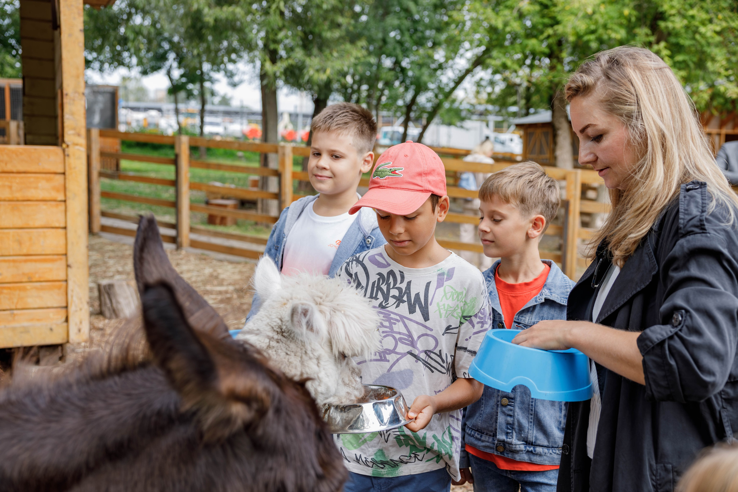 Экскурсия на ферму (ВДНХ). Фотограф Булдакова Екатерина