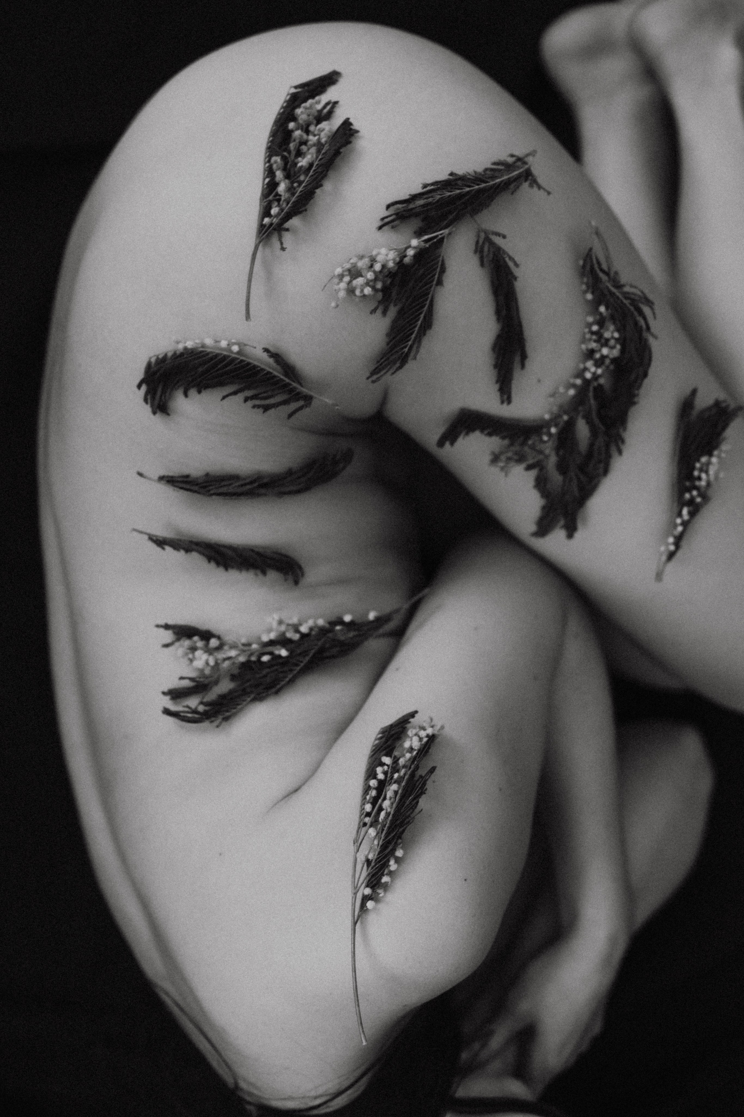 ДОМАшняя фотостудия. Фотограф в Нижнем Новгороде