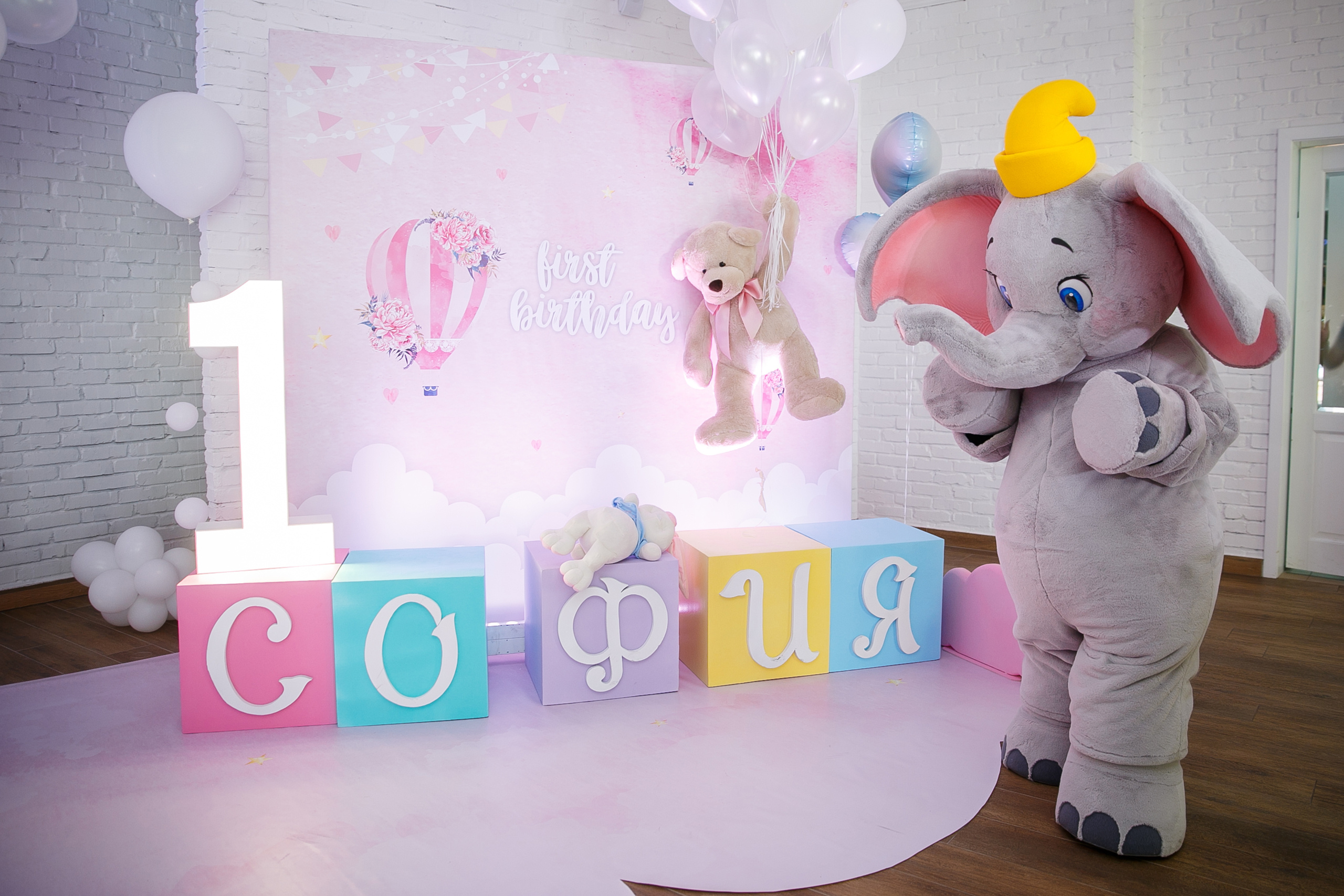 ДР Софии. 1 год. Ресторан Мост. Фотограф Андрей Баксов