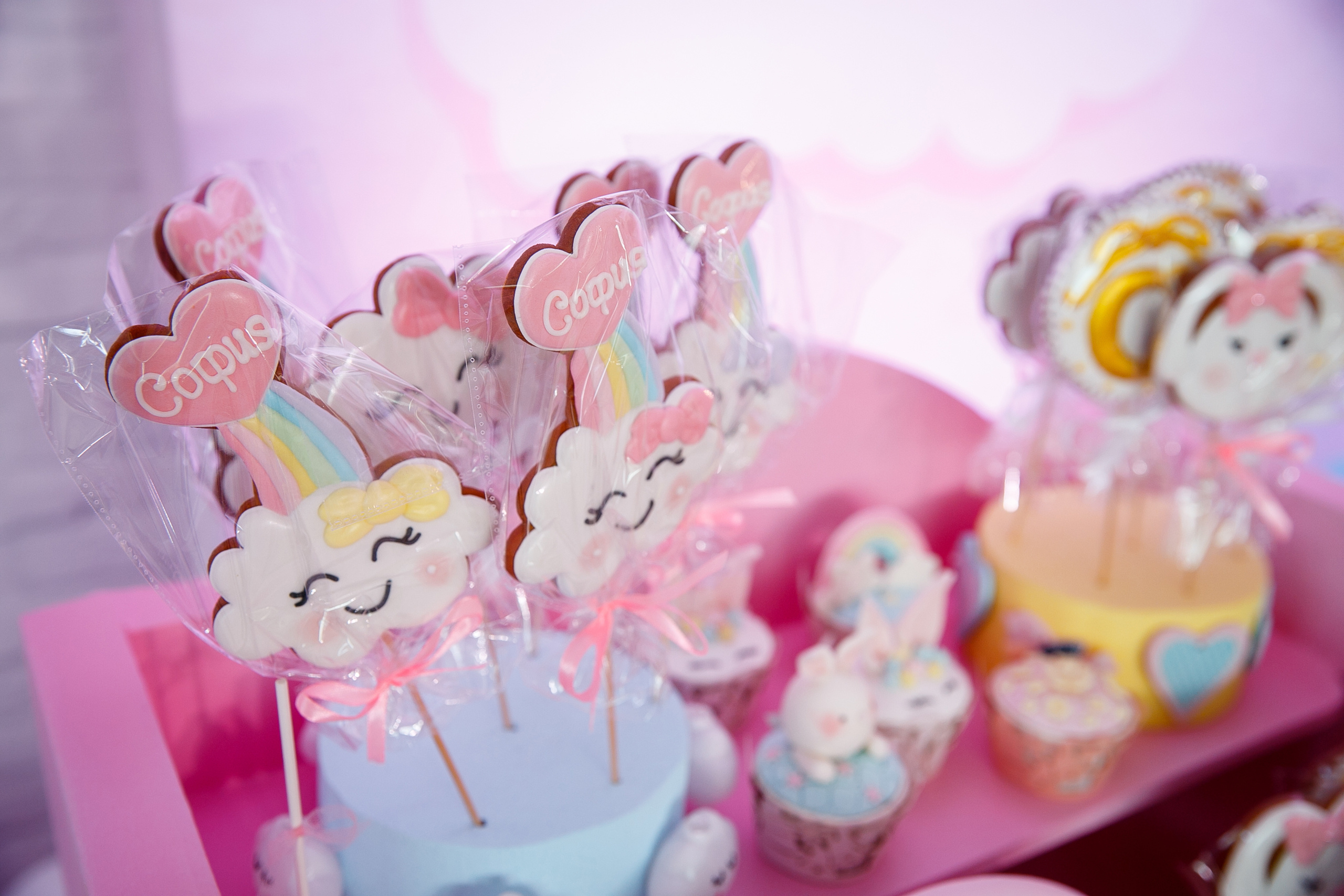 ДР Софии. 1 год. Ресторан Мост. Фотограф Андрей Баксов