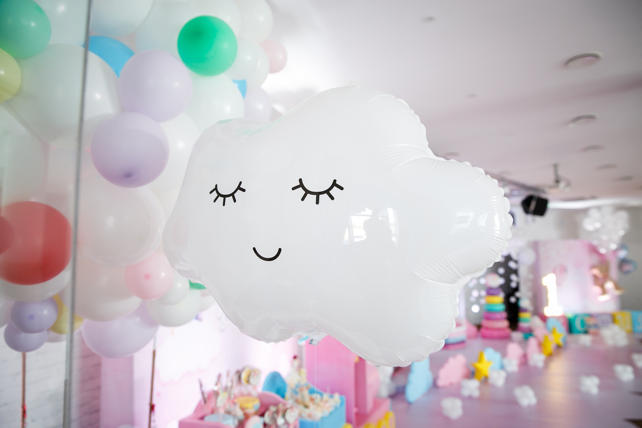 ДР Софии. 1 год. Ресторан Мост. Фотограф Андрей Баксов